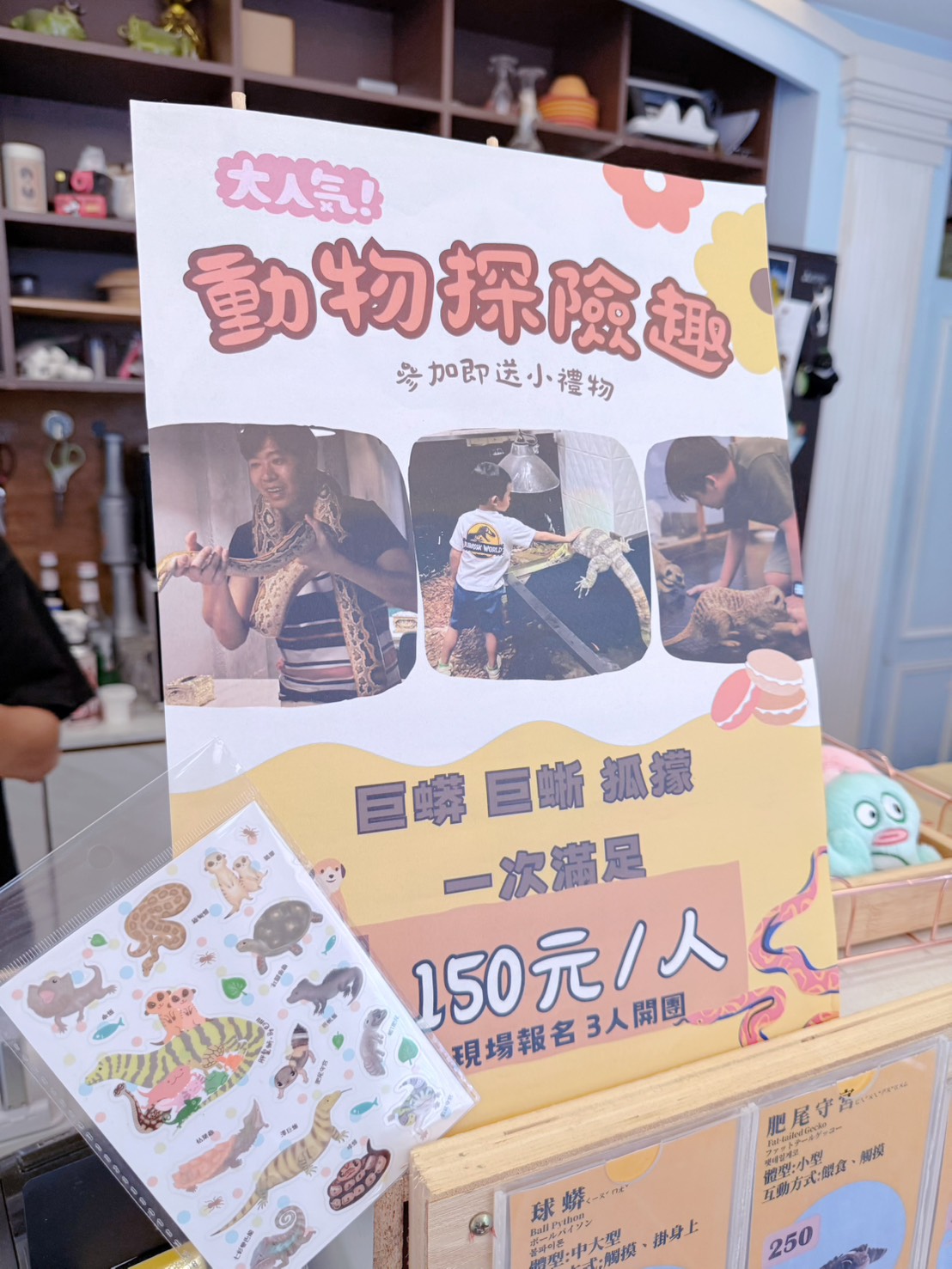台中西區 超特別親子餐廳!能近距離接觸狐獴、巨蜥、蟒蛇的療癒系特寵餐廳|胖鬣蜥城市特寵餐廳 - 第37張圖 台中西區 超特別親子餐廳!能近距離接觸狐獴、巨蜥、蟒蛇的療癒系特寵餐廳|胖鬣蜥城市特寵餐廳