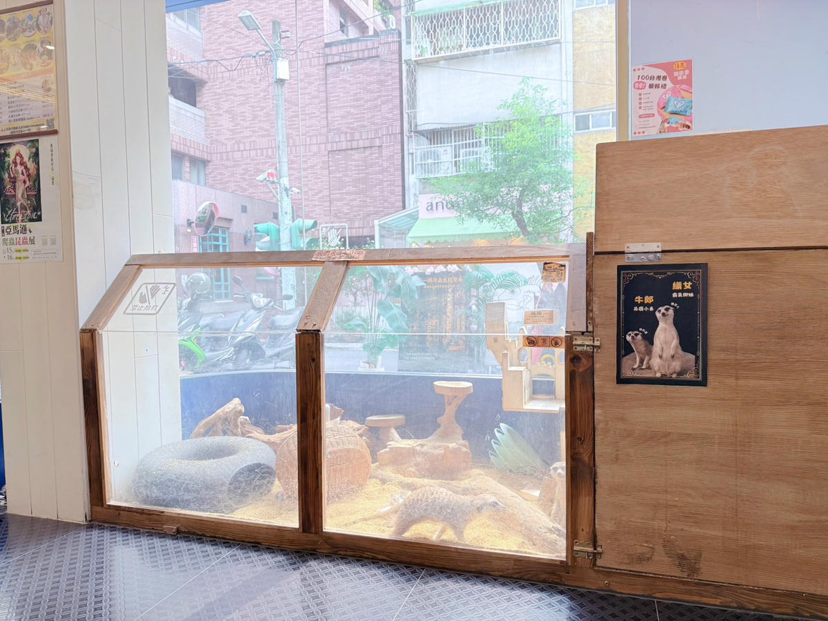 台中西區 超特別親子餐廳!能近距離接觸狐獴、巨蜥、蟒蛇的療癒系特寵餐廳|胖鬣蜥城市特寵餐廳 - 第5張圖 台中西區 超特別親子餐廳!能近距離接觸狐獴、巨蜥、蟒蛇的療癒系特寵餐廳|胖鬣蜥城市特寵餐廳
