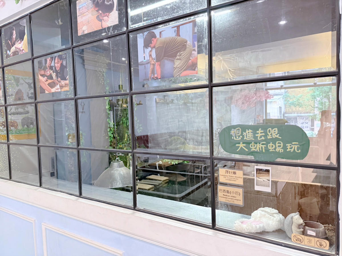 台中西區 超特別親子餐廳!能近距離接觸狐獴、巨蜥、蟒蛇的療癒系特寵餐廳|胖鬣蜥城市特寵餐廳 - 第10張圖 台中西區 超特別親子餐廳!能近距離接觸狐獴、巨蜥、蟒蛇的療癒系特寵餐廳|胖鬣蜥城市特寵餐廳