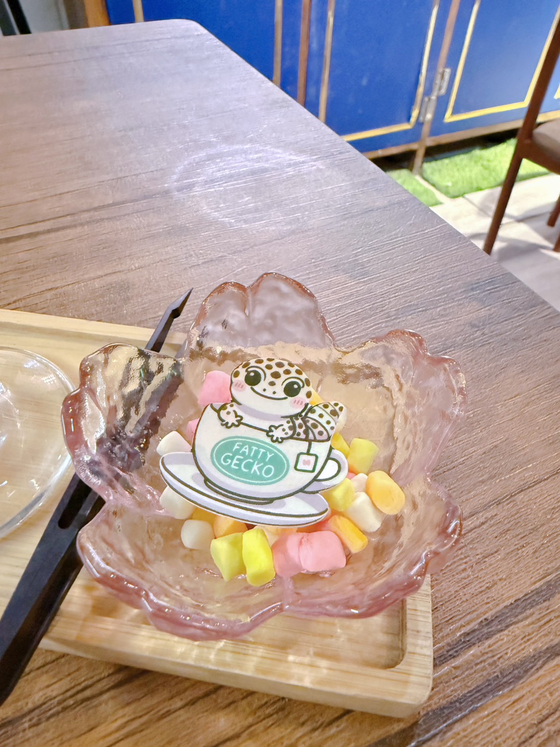 台中西區 超特別親子餐廳!能近距離接觸狐獴、巨蜥、蟒蛇的療癒系特寵餐廳|胖鬣蜥城市特寵餐廳 - 第32張圖 台中西區 超特別親子餐廳!能近距離接觸狐獴、巨蜥、蟒蛇的療癒系特寵餐廳|胖鬣蜥城市特寵餐廳
