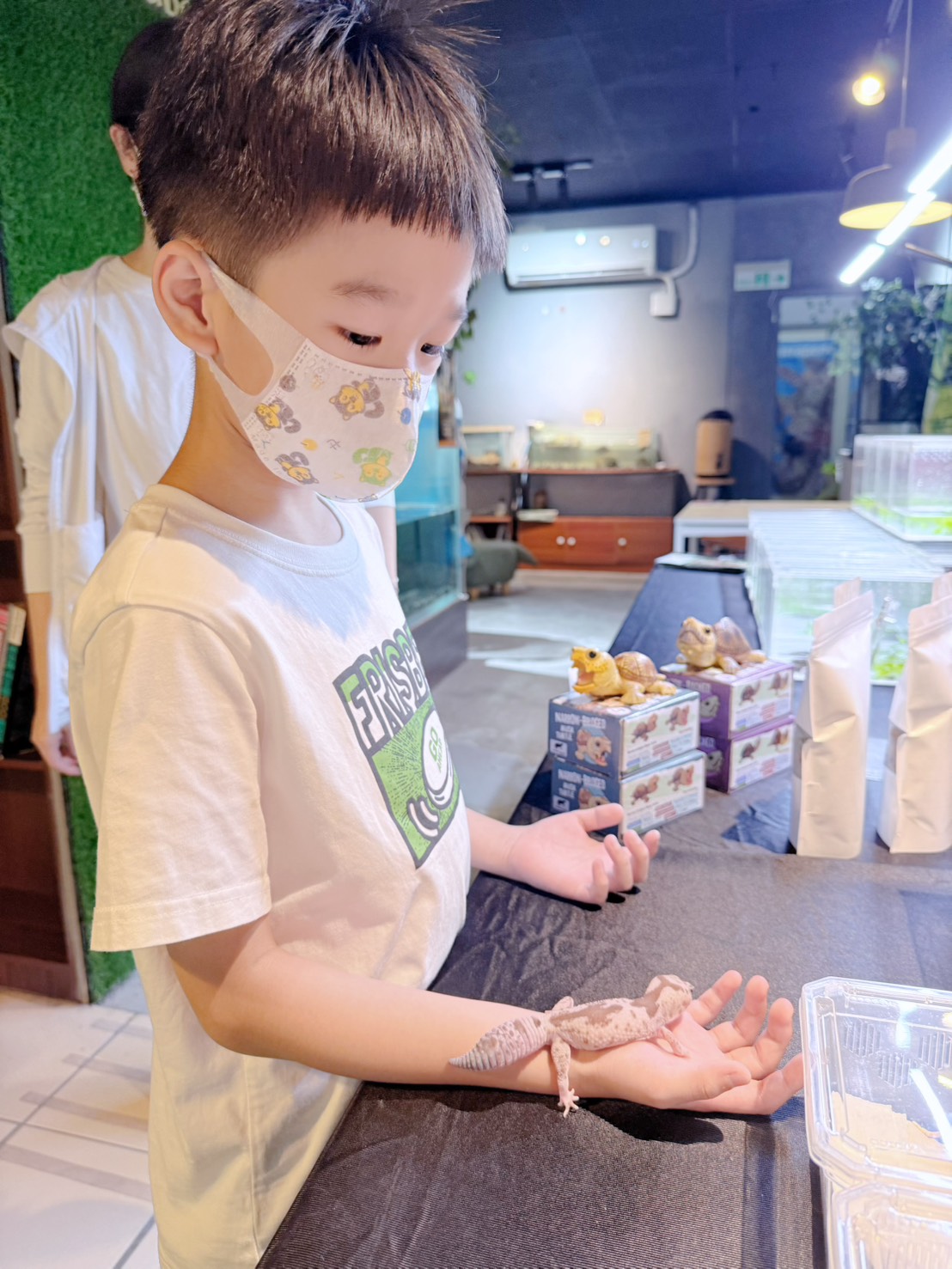 台中西區 超特別親子餐廳！能近距離接觸狐獴、巨蜥、蟒蛇的療癒系特寵餐廳｜胖鬣蜥城市特寵餐廳