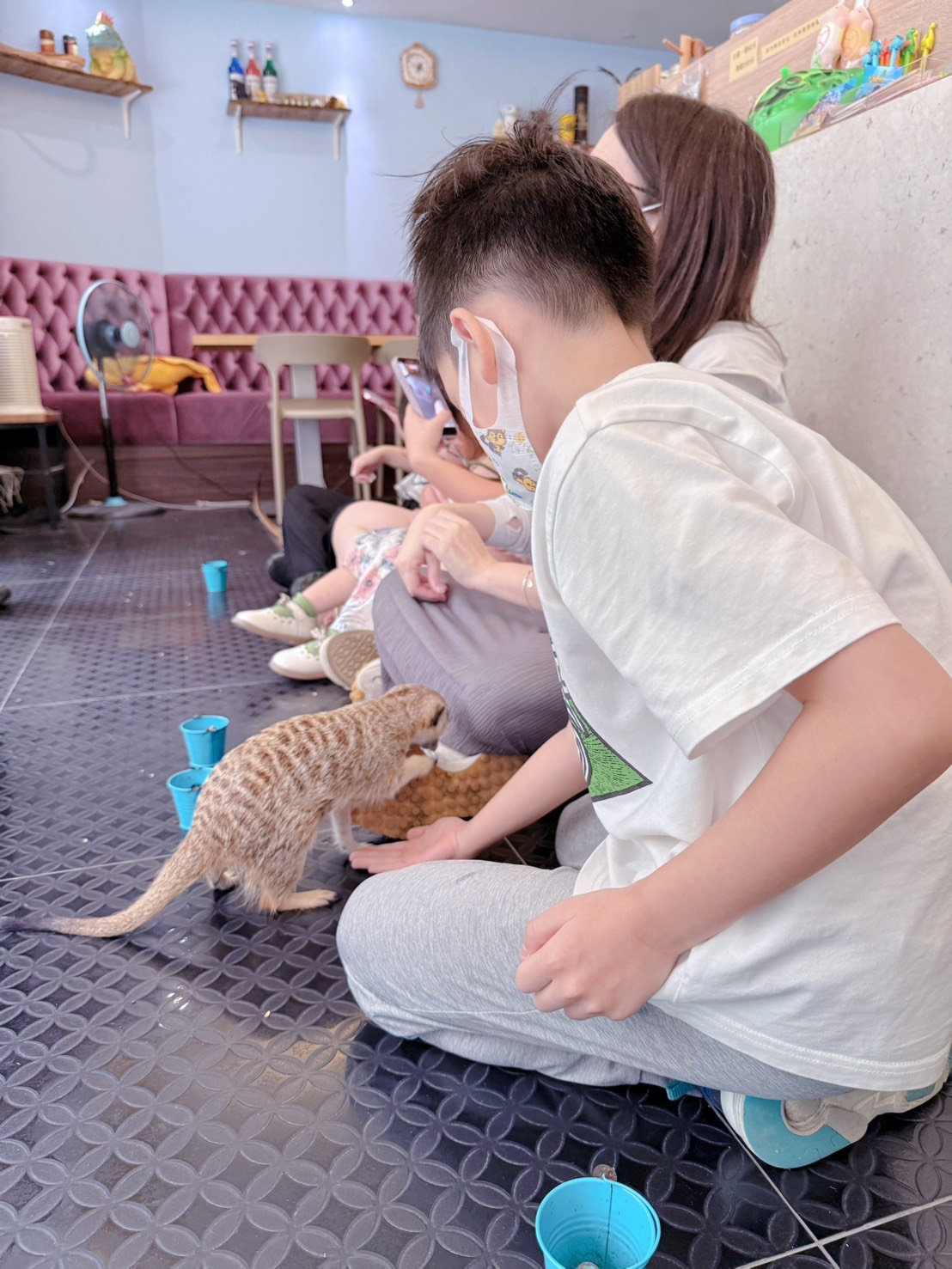 台中西區 超特別親子餐廳!能近距離接觸狐獴、巨蜥、蟒蛇的療癒系特寵餐廳|胖鬣蜥城市特寵餐廳 - 第41張圖 台中西區 超特別親子餐廳!能近距離接觸狐獴、巨蜥、蟒蛇的療癒系特寵餐廳|胖鬣蜥城市特寵餐廳