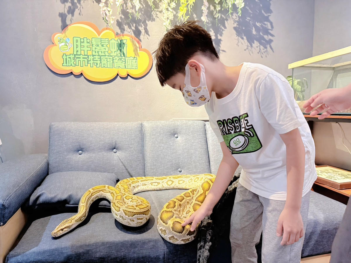台中西區 超特別親子餐廳!能近距離接觸狐獴、巨蜥、蟒蛇的療癒系特寵餐廳|胖鬣蜥城市特寵餐廳 - 第45張圖 台中西區 超特別親子餐廳!能近距離接觸狐獴、巨蜥、蟒蛇的療癒系特寵餐廳|胖鬣蜥城市特寵餐廳