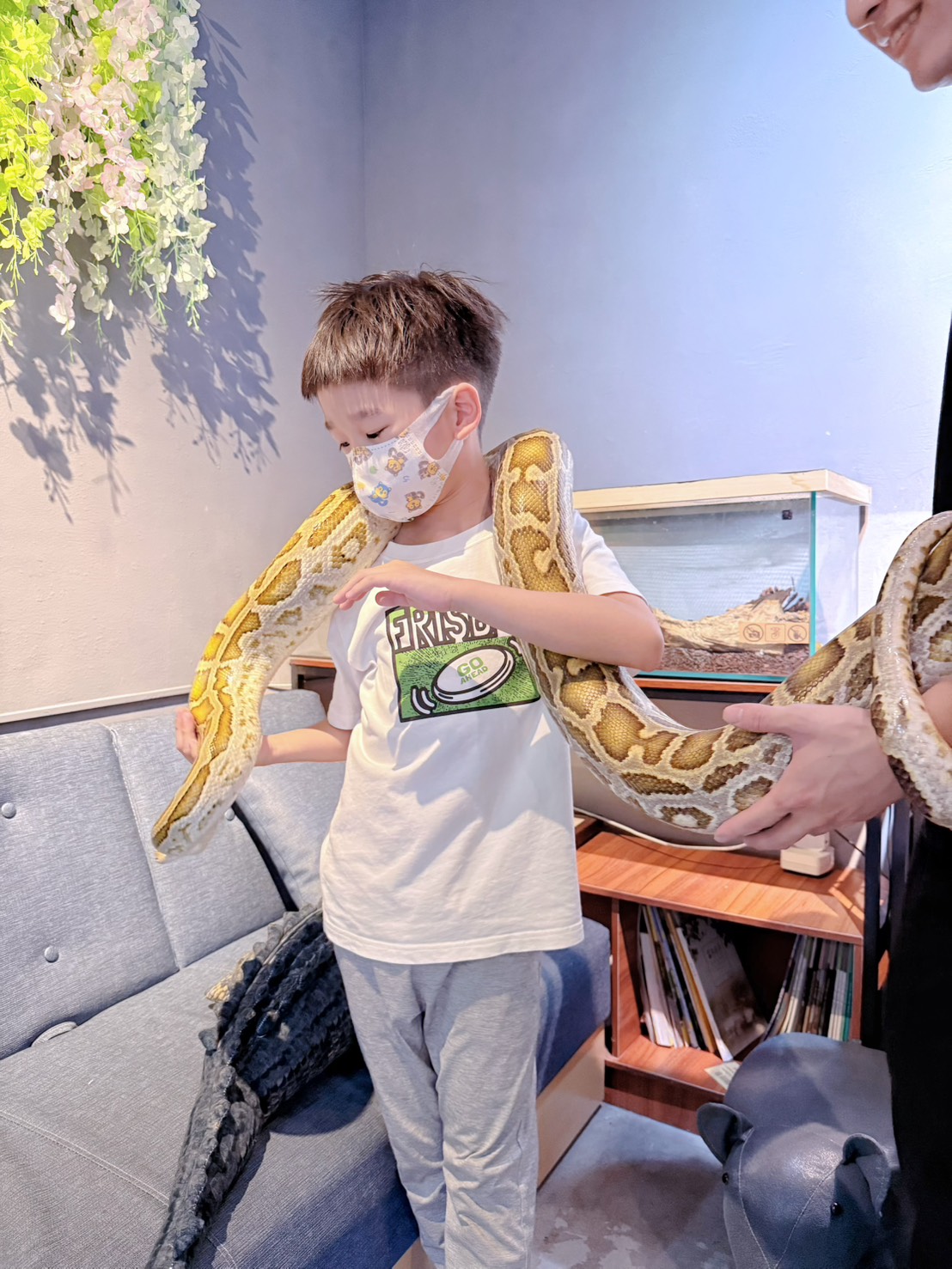 台中西區 超特別親子餐廳!能近距離接觸狐獴、巨蜥、蟒蛇的療癒系特寵餐廳|胖鬣蜥城市特寵餐廳 - 第46張圖 台中西區 超特別親子餐廳!能近距離接觸狐獴、巨蜥、蟒蛇的療癒系特寵餐廳|胖鬣蜥城市特寵餐廳