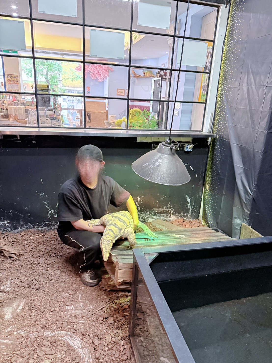 台中西區 超特別親子餐廳!能近距離接觸狐獴、巨蜥、蟒蛇的療癒系特寵餐廳|胖鬣蜥城市特寵餐廳 - 第43張圖 台中西區 超特別親子餐廳!能近距離接觸狐獴、巨蜥、蟒蛇的療癒系特寵餐廳|胖鬣蜥城市特寵餐廳