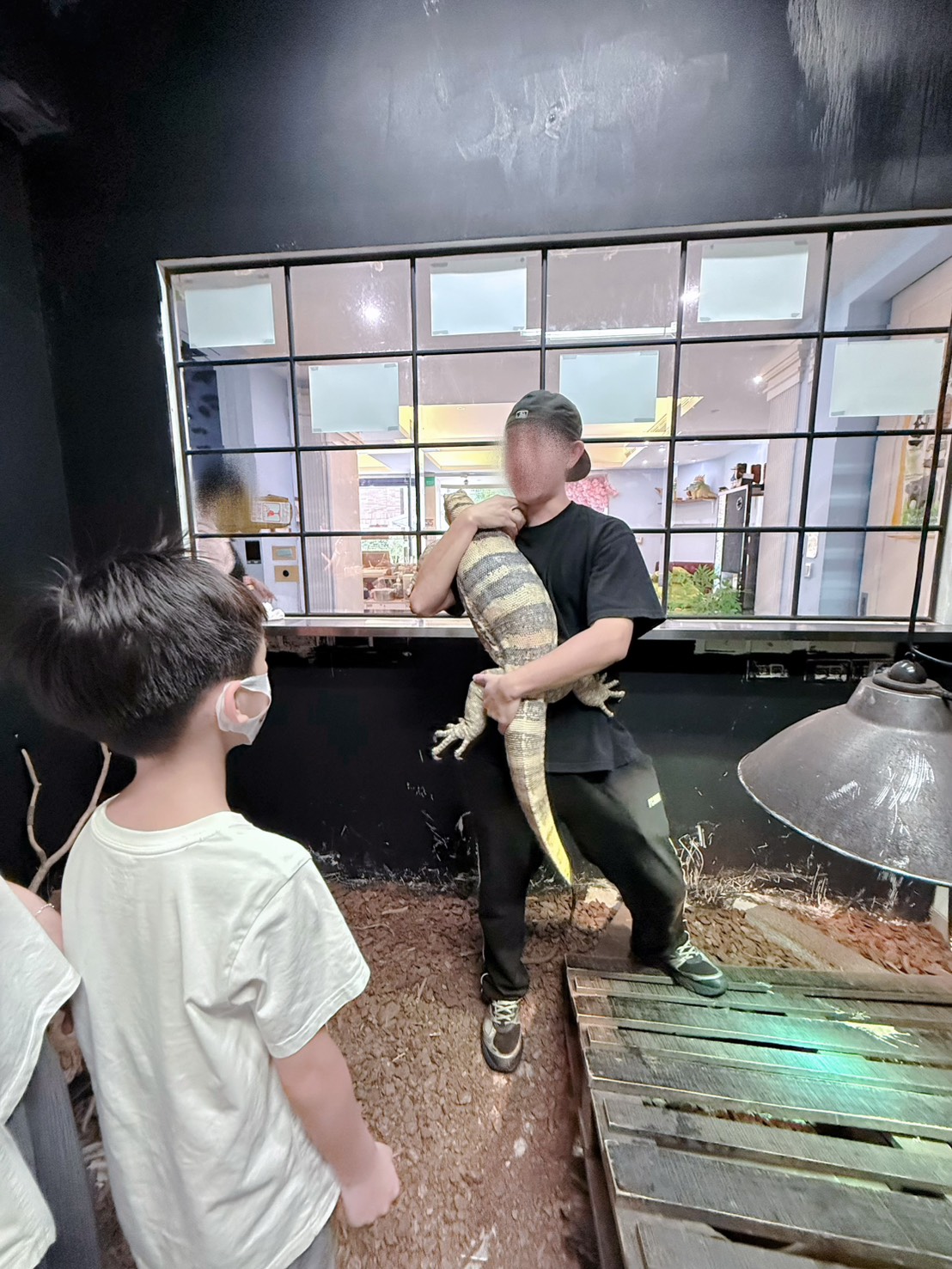 台中西區 超特別親子餐廳！能近距離接觸狐獴、巨蜥、蟒蛇的療癒系特寵餐廳｜胖鬣蜥城市特寵餐廳