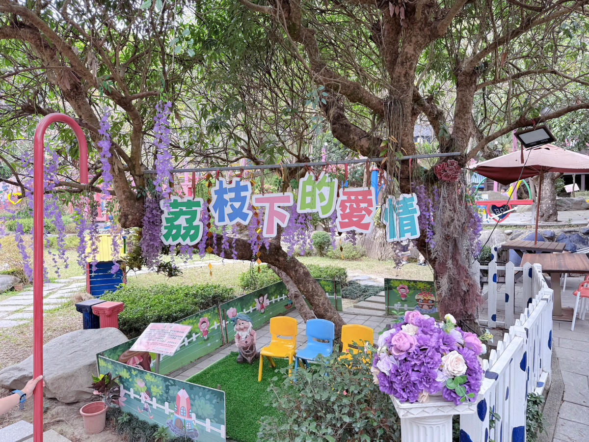 彰化親子景點 今夜星辰休閒農場|羊駝、瓦萊黑鼻羊、兔子近距離互動!超人氣動物農場親子半日遊推薦 - 第13張圖 彰化親子景點 今夜星辰休閒農場|羊駝、瓦萊黑鼻羊、兔子近距離互動!超人氣動物農場親子半日遊推薦