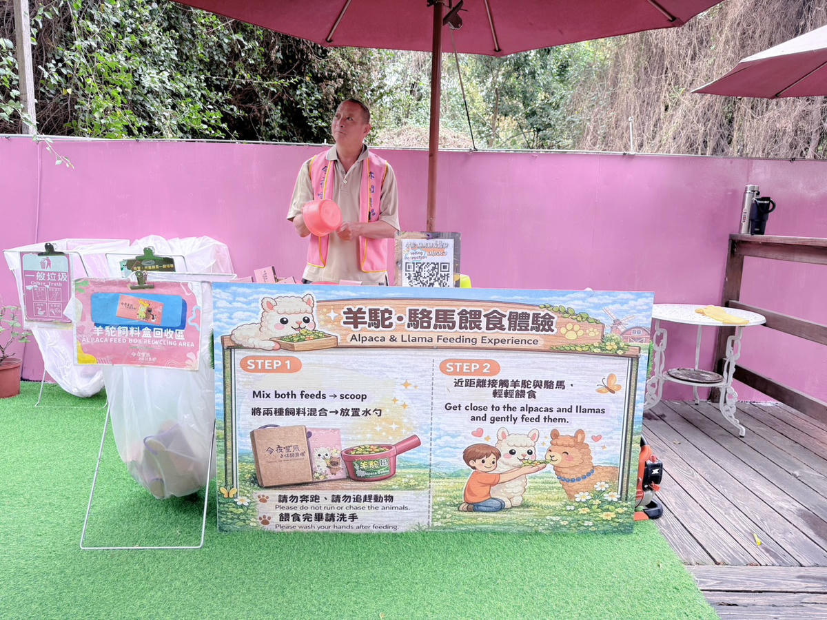 彰化親子景點 今夜星辰休閒農場|羊駝、瓦萊黑鼻羊、兔子近距離互動!超人氣動物農場親子半日遊推薦 - 第18張圖 彰化親子景點 今夜星辰休閒農場|羊駝、瓦萊黑鼻羊、兔子近距離互動!超人氣動物農場親子半日遊推薦