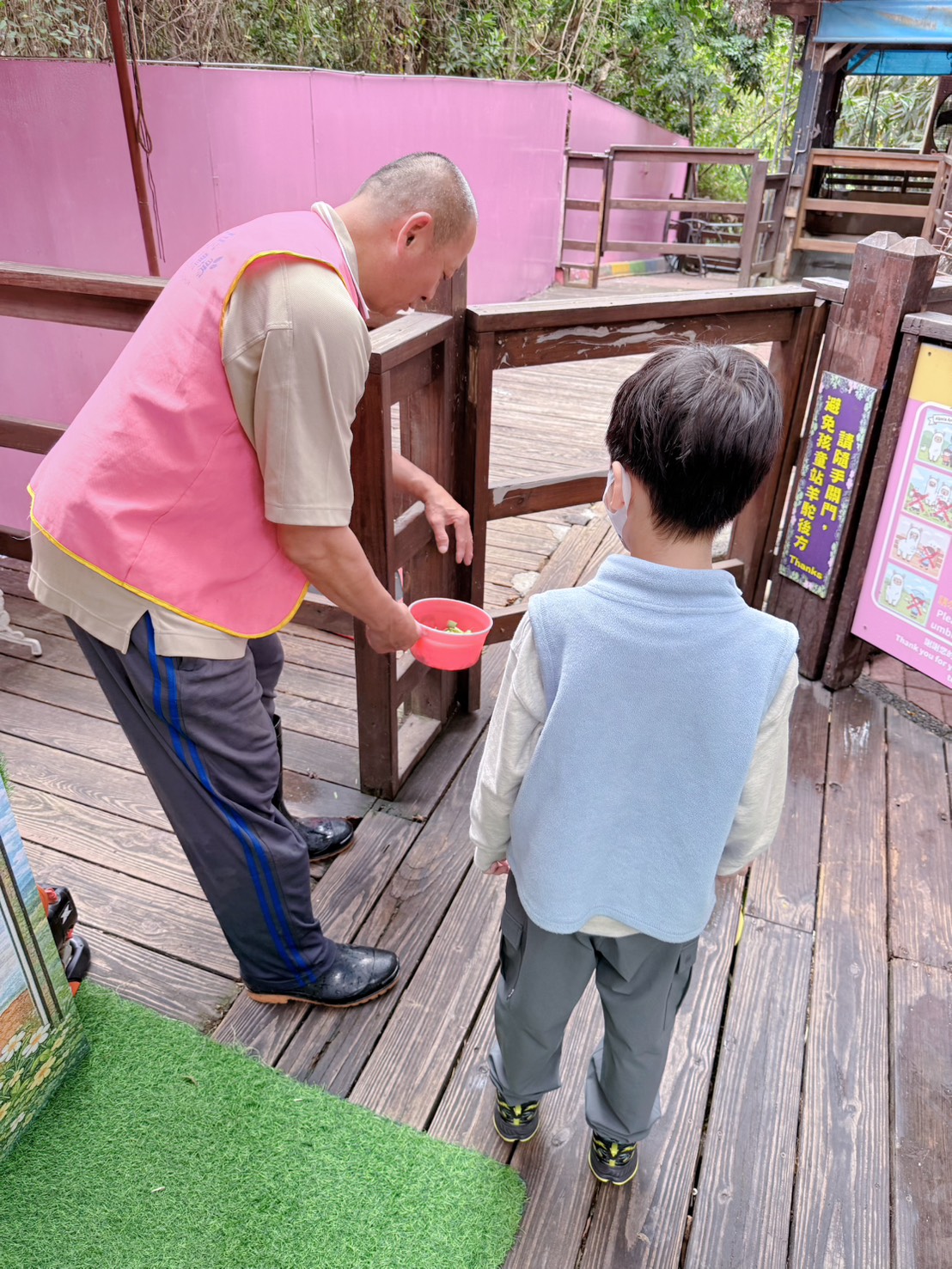 彰化親子景點 今夜星辰休閒農場|羊駝、瓦萊黑鼻羊、兔子近距離互動!超人氣動物農場親子半日遊推薦 - 第20張圖 彰化親子景點 今夜星辰休閒農場|羊駝、瓦萊黑鼻羊、兔子近距離互動!超人氣動物農場親子半日遊推薦