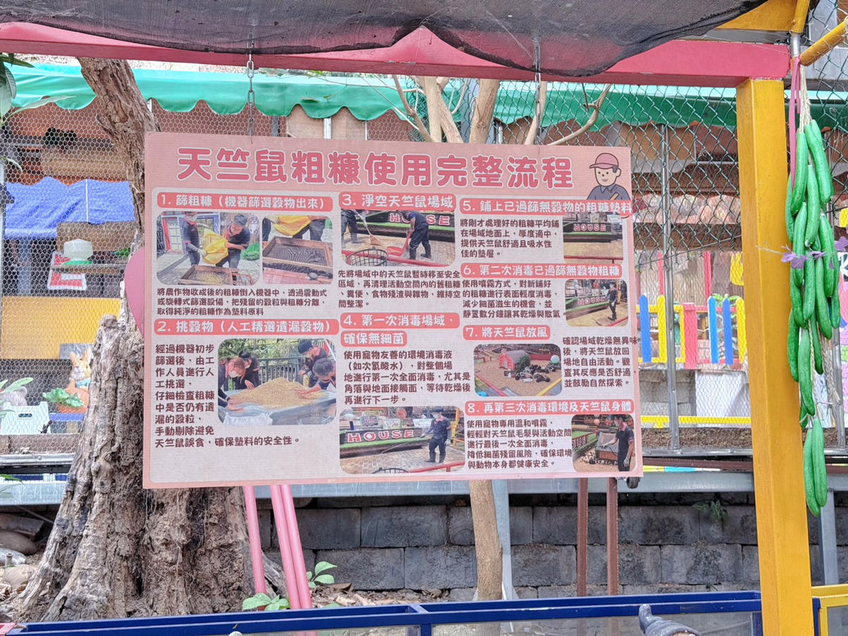 彰化親子景點 今夜星辰休閒農場|羊駝、瓦萊黑鼻羊、兔子近距離互動!超人氣動物農場親子半日遊推薦 - 第25張圖 彰化親子景點 今夜星辰休閒農場|羊駝、瓦萊黑鼻羊、兔子近距離互動!超人氣動物農場親子半日遊推薦
