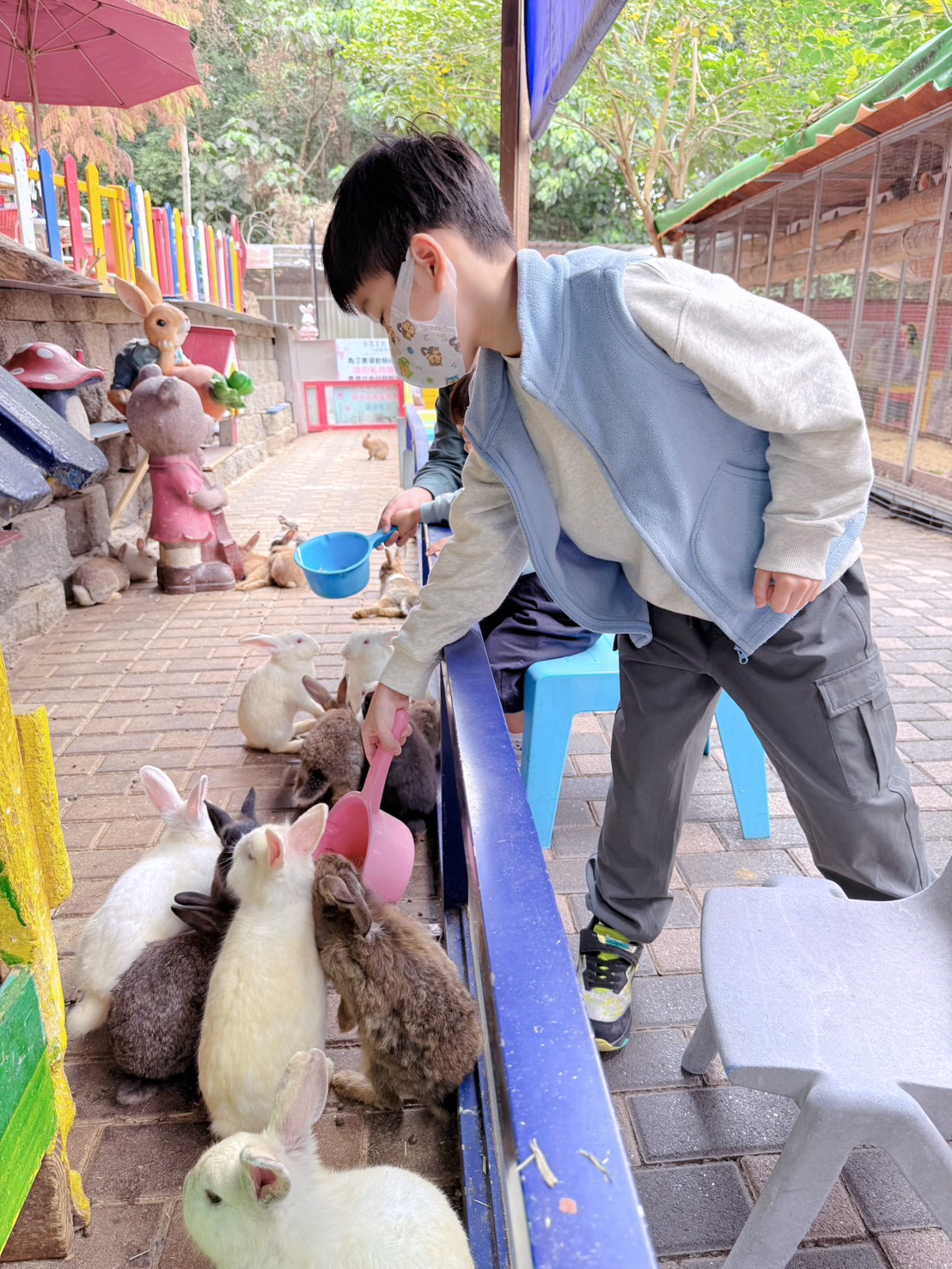彰化親子景點 今夜星辰休閒農場|羊駝、瓦萊黑鼻羊、兔子近距離互動!超人氣動物農場親子半日遊推薦 - 第29張圖 彰化親子景點 今夜星辰休閒農場|羊駝、瓦萊黑鼻羊、兔子近距離互動!超人氣動物農場親子半日遊推薦