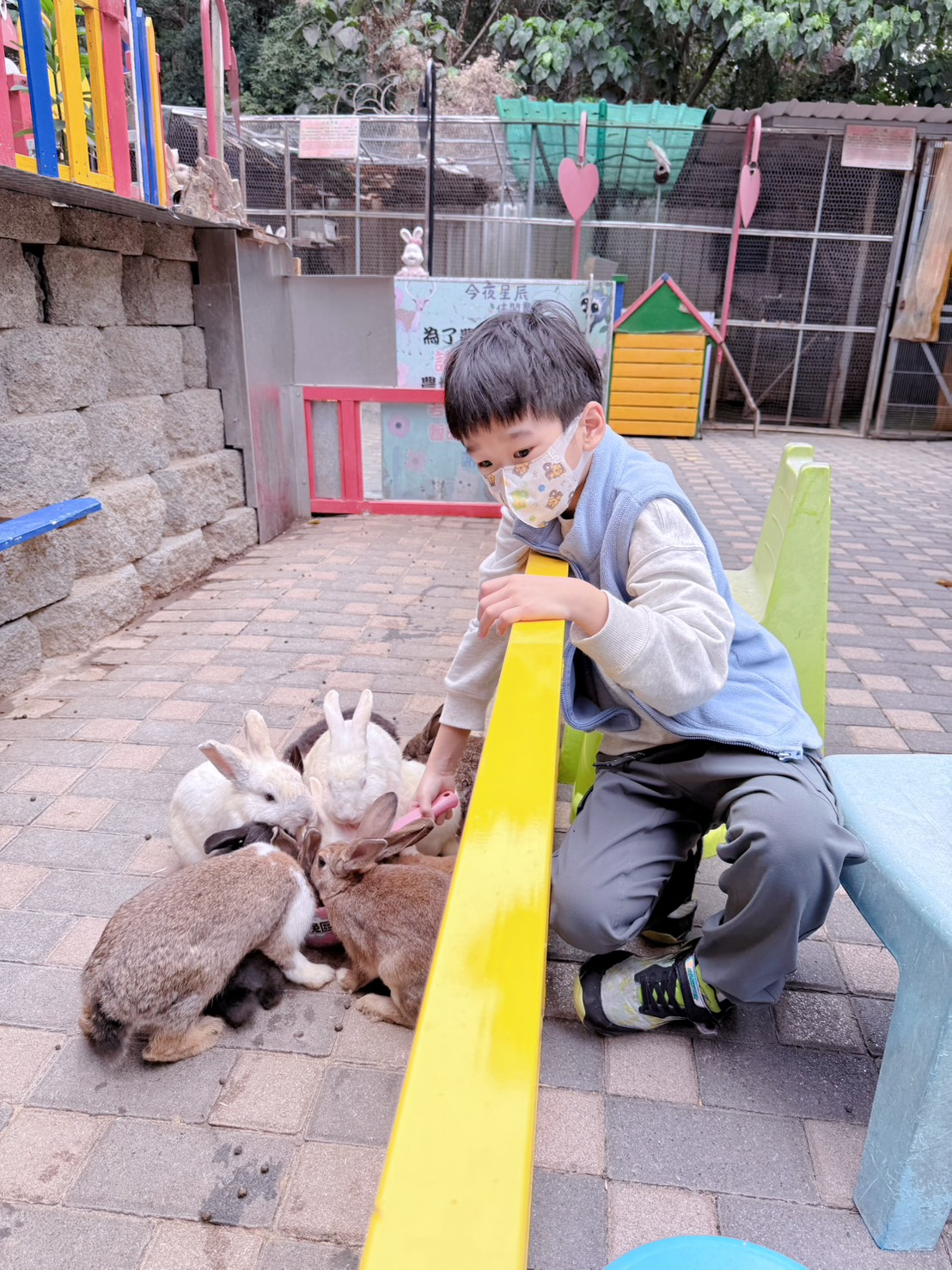 彰化親子景點 今夜星辰休閒農場|羊駝、瓦萊黑鼻羊、兔子近距離互動!超人氣動物農場親子半日遊推薦 - 第28張圖 彰化親子景點 今夜星辰休閒農場|羊駝、瓦萊黑鼻羊、兔子近距離互動!超人氣動物農場親子半日遊推薦