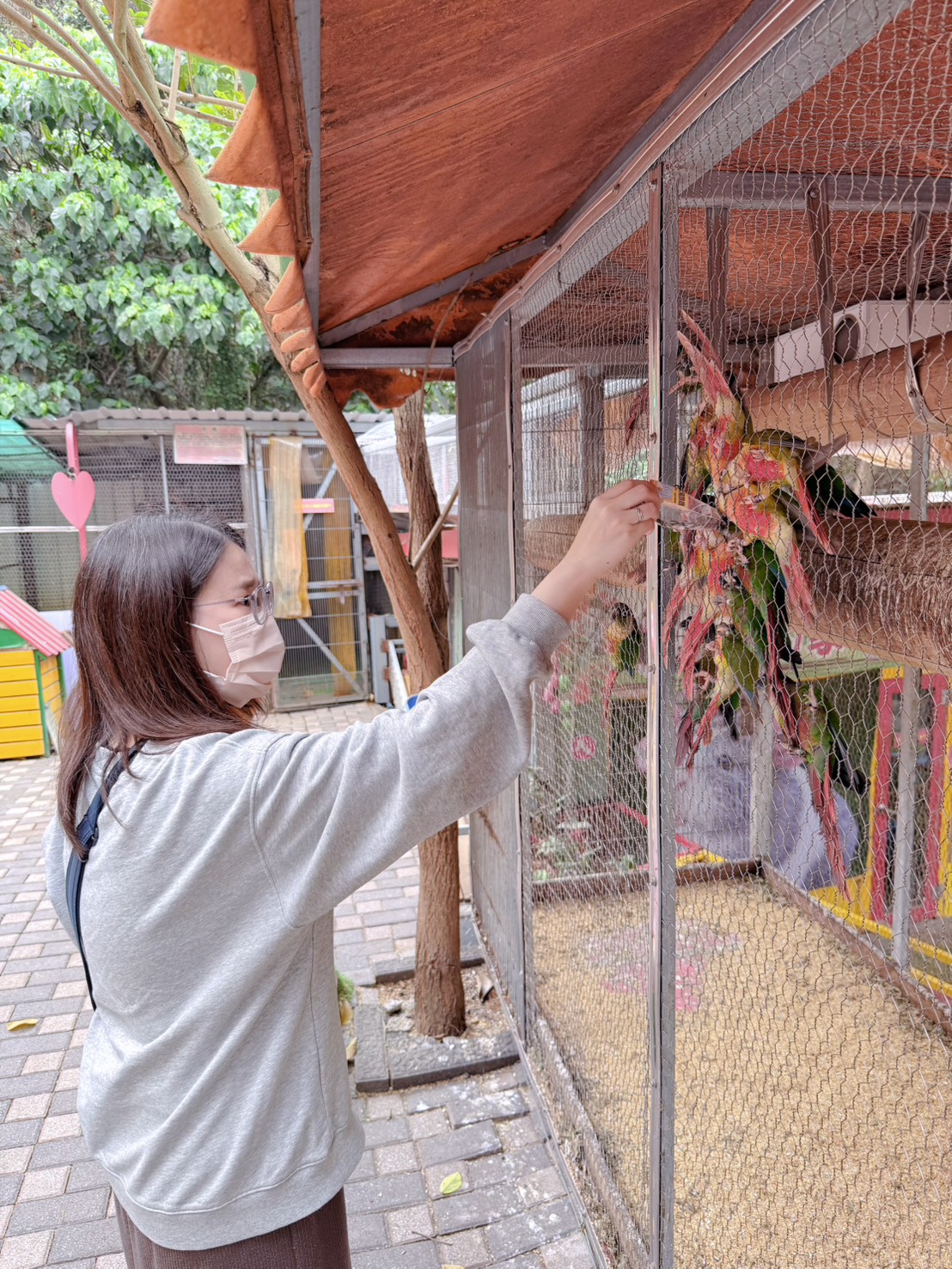 彰化親子景點 今夜星辰休閒農場|羊駝、瓦萊黑鼻羊、兔子近距離互動!超人氣動物農場親子半日遊推薦 - 第32張圖 彰化親子景點 今夜星辰休閒農場|羊駝、瓦萊黑鼻羊、兔子近距離互動!超人氣動物農場親子半日遊推薦
