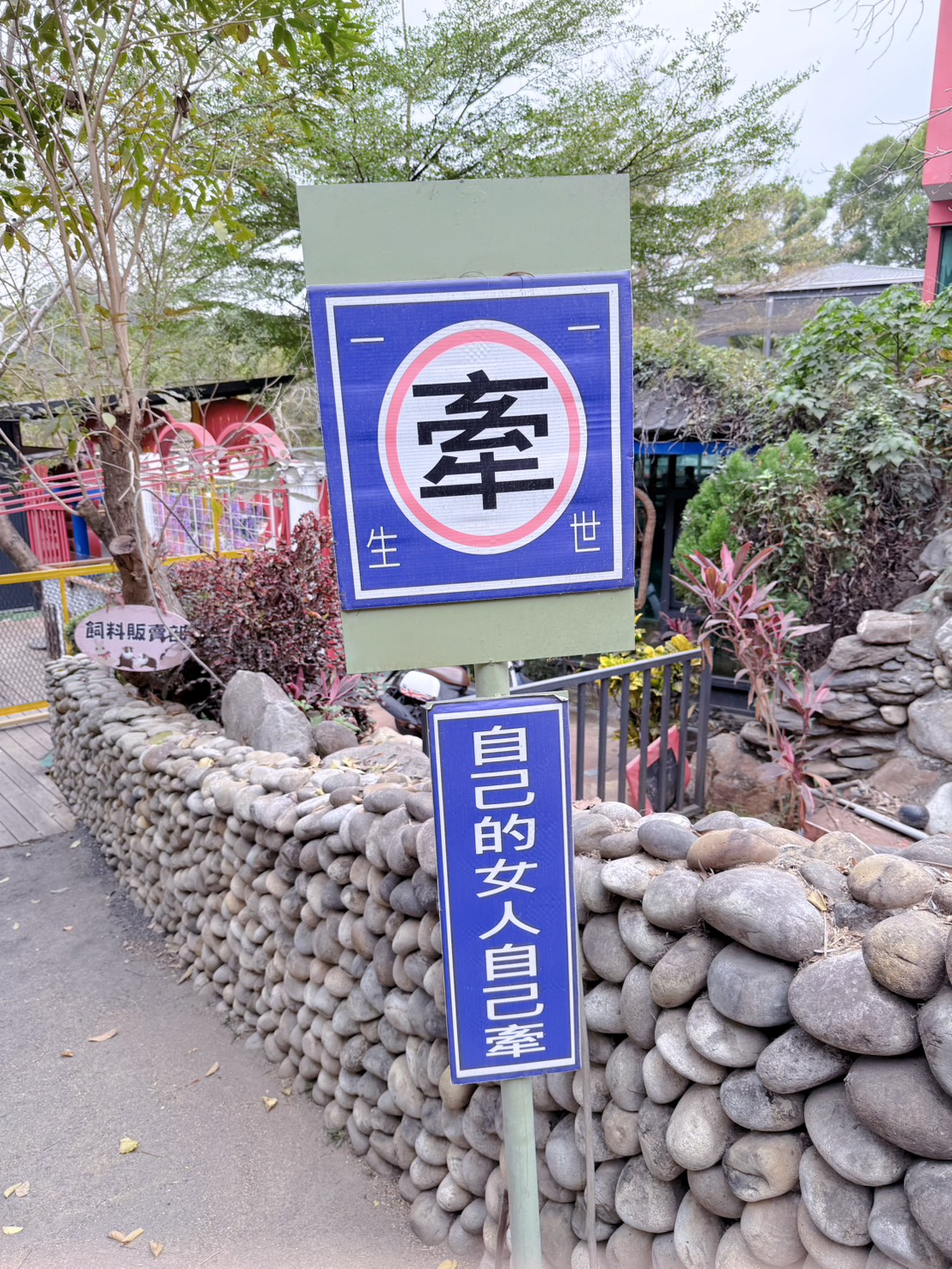 彰化親子景點 今夜星辰休閒農場|羊駝、瓦萊黑鼻羊、兔子近距離互動!超人氣動物農場親子半日遊推薦 - 第14張圖 彰化親子景點 今夜星辰休閒農場|羊駝、瓦萊黑鼻羊、兔子近距離互動!超人氣動物農場親子半日遊推薦