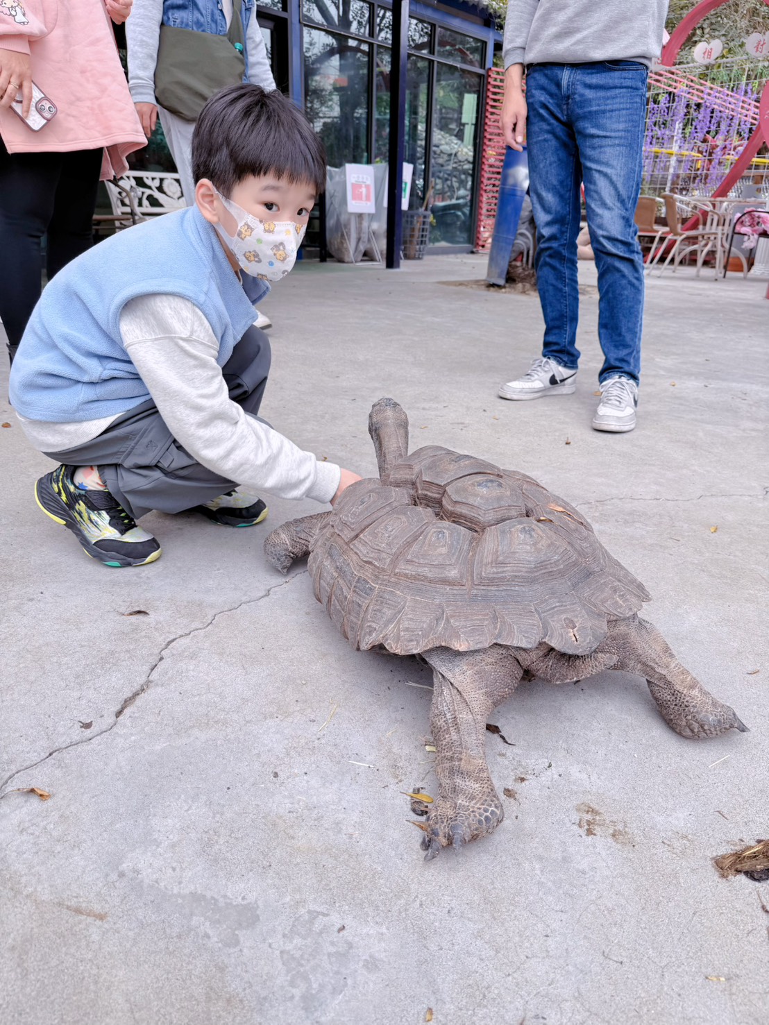彰化親子景點 今夜星辰休閒農場|羊駝、瓦萊黑鼻羊、兔子近距離互動!超人氣動物農場親子半日遊推薦 - 第39張圖 彰化親子景點 今夜星辰休閒農場|羊駝、瓦萊黑鼻羊、兔子近距離互動!超人氣動物農場親子半日遊推薦