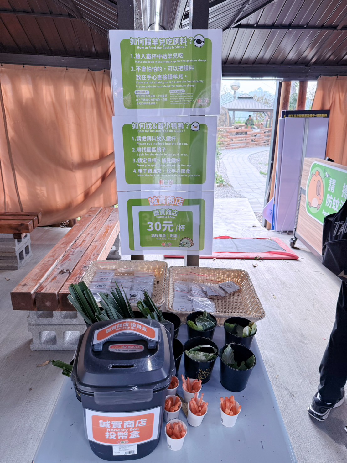 南投鹿谷親子景點推薦 鹿芝谷生態景觀園區｜近距離餵食水豚、瓦萊黑鼻羊、羊駝！門票可全額折抵菇神消費 溪頭、杉林溪順遊景點