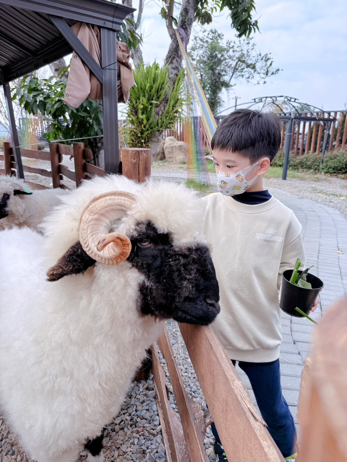 南投鹿谷親子景點推薦 鹿芝谷生態景觀園區｜近距離餵食水豚、瓦萊黑鼻羊、羊駝！門票可全額折抵菇神消費 溪頭、杉林溪順遊景點
