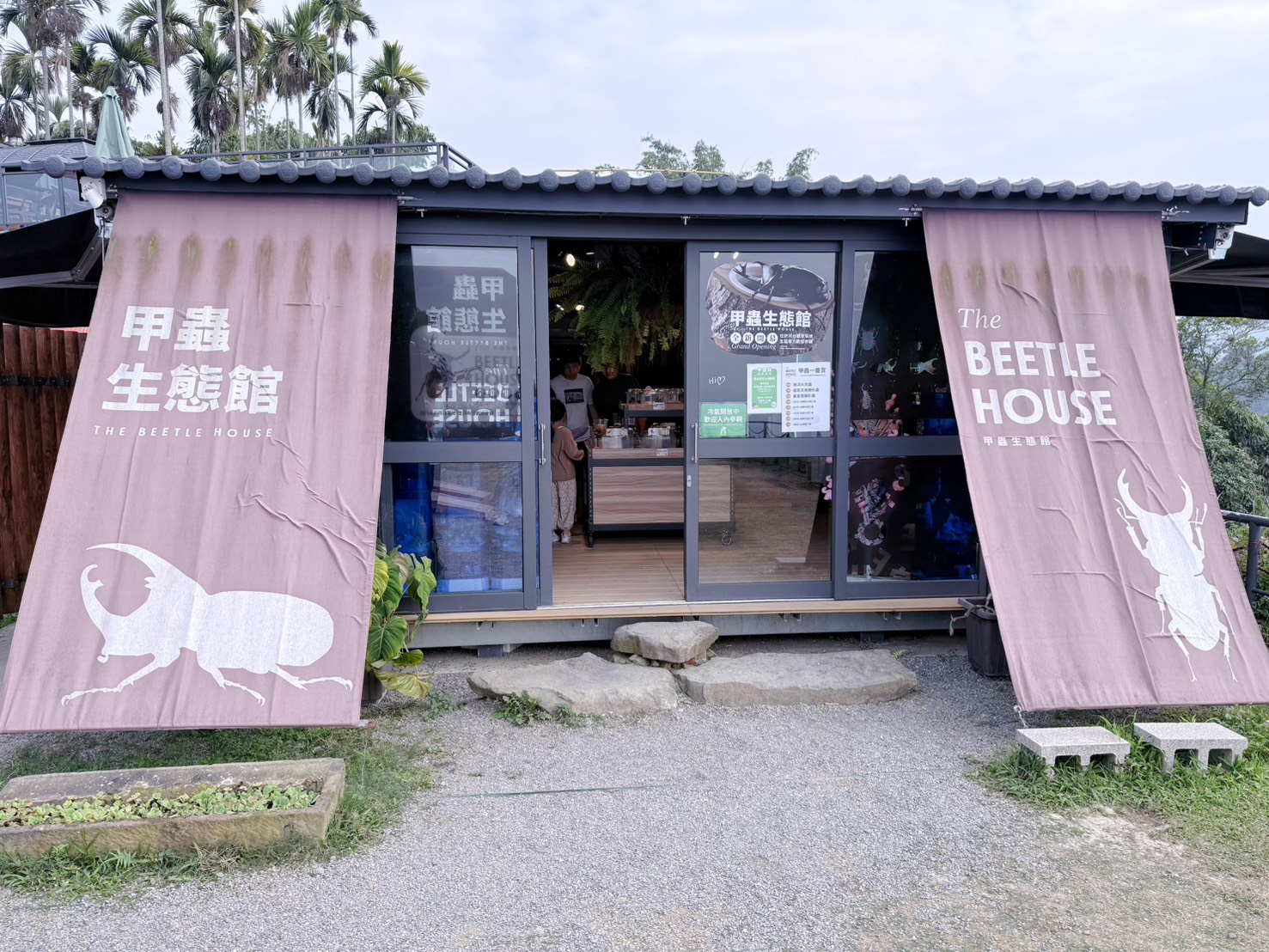 南投鹿谷親子景點推薦 鹿芝谷生態景觀園區｜近距離餵食水豚、瓦萊黑鼻羊、羊駝！門票可全額折抵菇神消費 溪頭、杉林溪順遊景點