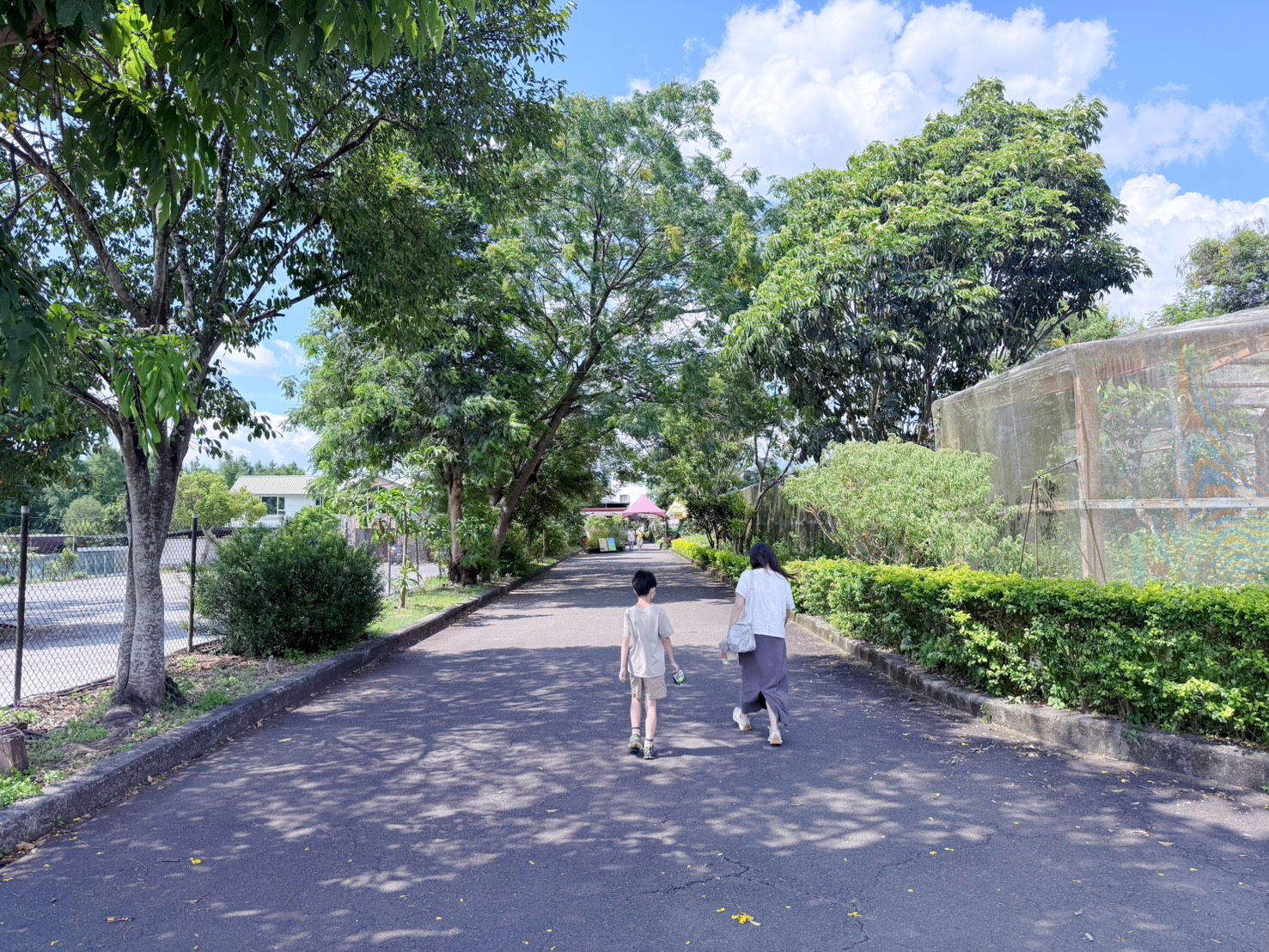 南投埔里親子景點|蝴蝶小鎮生態休閒園區・木生昆蟲博物館 免費導覽超精彩 近距離接觸昆蟲 蝴蝶園體驗一次玩! - 第5張圖 南投埔里親子景點|蝴蝶小鎮生態休閒園區・木生昆蟲博物館 免費導覽超精彩 近距離接觸昆蟲 蝴蝶園體驗一次玩!