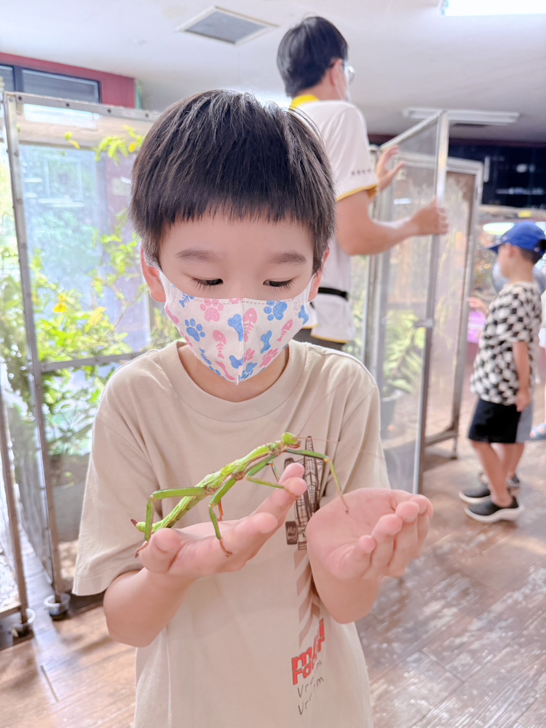 南投埔里親子景點｜蝴蝶小鎮生態休閒園區・木生昆蟲博物館 免費導覽超精彩 近距離接觸昆蟲 蝴蝶園體驗一次玩！