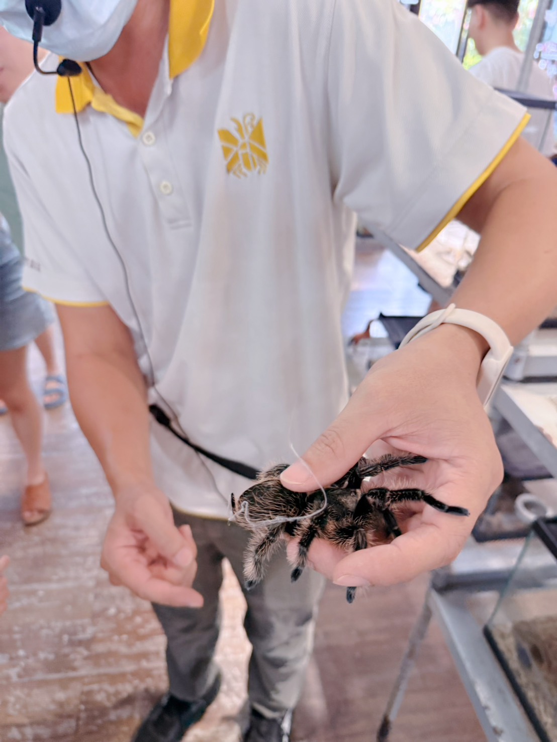南投埔里親子景點｜蝴蝶小鎮生態休閒園區・木生昆蟲博物館 免費導覽超精彩 近距離接觸昆蟲 蝴蝶園體驗一次玩！