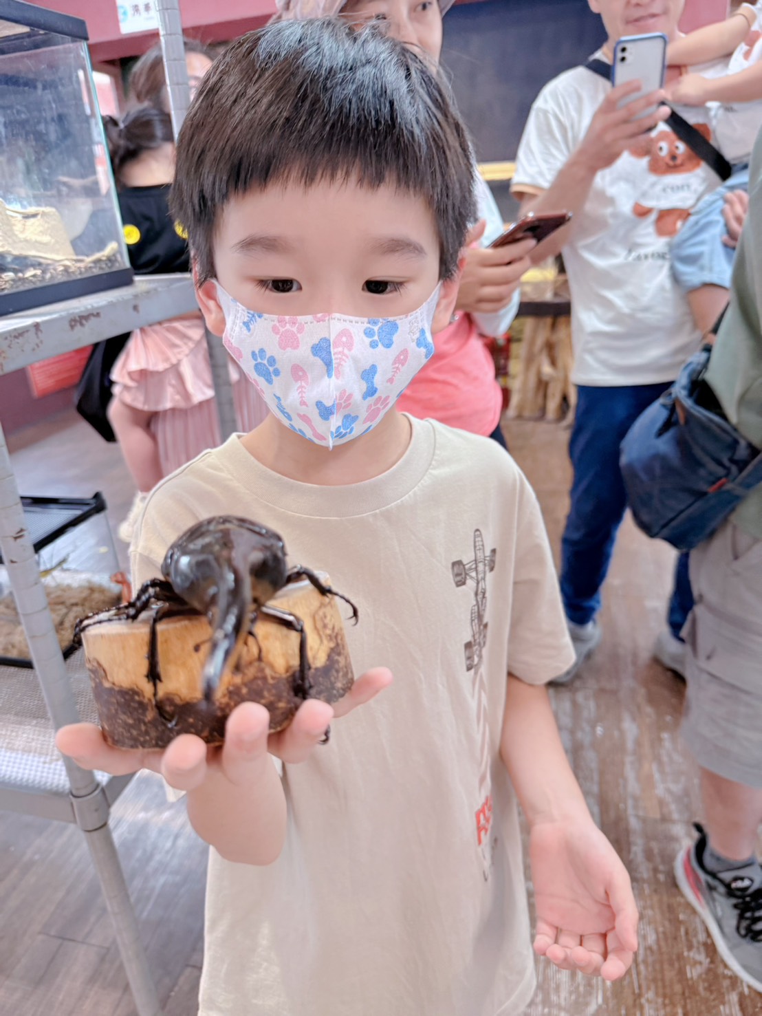 南投埔里親子景點｜蝴蝶小鎮生態休閒園區・木生昆蟲博物館 免費導覽超精彩 近距離接觸昆蟲 蝴蝶園體驗一次玩！