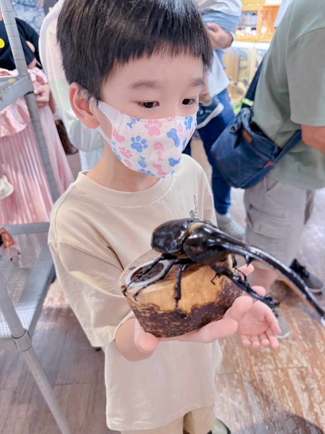 南投埔里親子景點｜蝴蝶小鎮生態休閒園區・木生昆蟲博物館 免費導覽超精彩 近距離接觸昆蟲 蝴蝶園體驗一次玩！