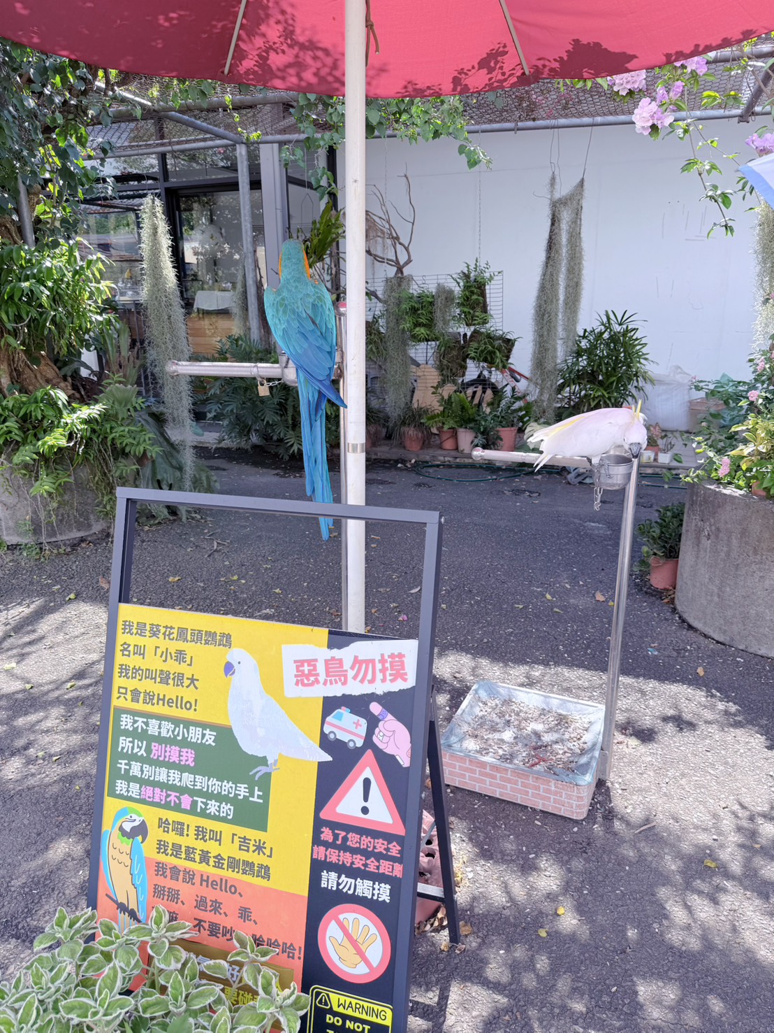 南投埔里親子景點|蝴蝶小鎮生態休閒園區・木生昆蟲博物館 免費導覽超精彩 近距離接觸昆蟲 蝴蝶園體驗一次玩! - 第9張圖 南投埔里親子景點|蝴蝶小鎮生態休閒園區・木生昆蟲博物館 免費導覽超精彩 近距離接觸昆蟲 蝴蝶園體驗一次玩!