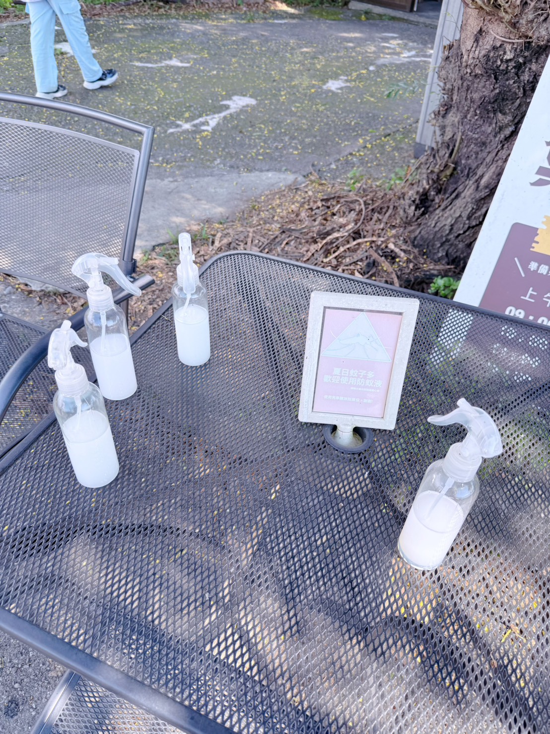 南投埔里親子景點|蝴蝶小鎮生態休閒園區・木生昆蟲博物館 免費導覽超精彩 近距離接觸昆蟲 蝴蝶園體驗一次玩! - 第23張圖 南投埔里親子景點|蝴蝶小鎮生態休閒園區・木生昆蟲博物館 免費導覽超精彩 近距離接觸昆蟲 蝴蝶園體驗一次玩!