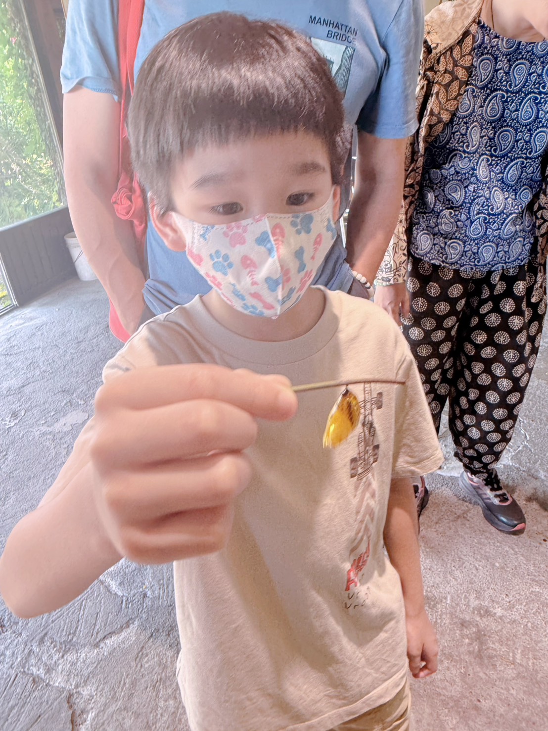 南投埔里親子景點｜蝴蝶小鎮生態休閒園區・木生昆蟲博物館 免費導覽超精彩 近距離接觸昆蟲 蝴蝶園體驗一次玩！