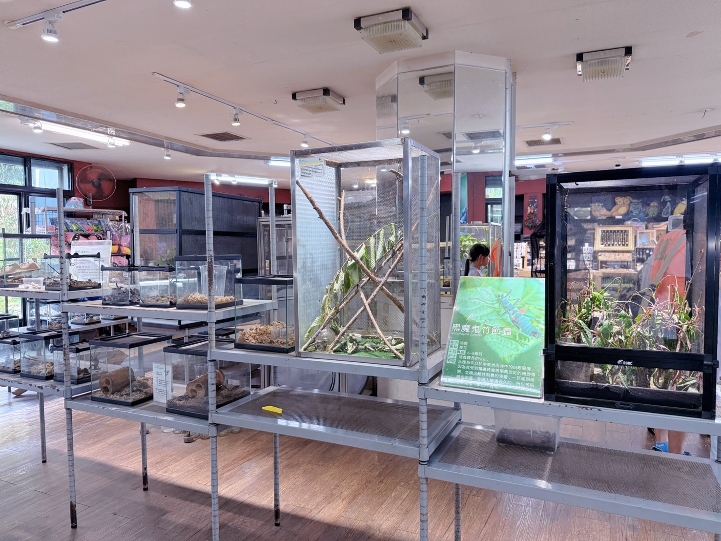 南投埔里親子景點|蝴蝶小鎮生態休閒園區・木生昆蟲博物館 免費導覽超精彩 近距離接觸昆蟲 蝴蝶園體驗一次玩! - 第10張圖 南投埔里親子景點|蝴蝶小鎮生態休閒園區・木生昆蟲博物館 免費導覽超精彩 近距離接觸昆蟲 蝴蝶園體驗一次玩!