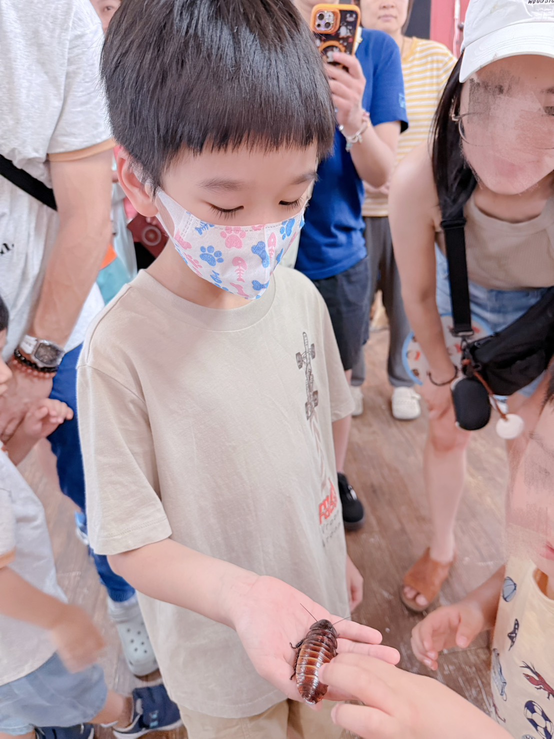 南投埔里親子景點|蝴蝶小鎮生態休閒園區・木生昆蟲博物館 免費導覽超精彩 近距離接觸昆蟲 蝴蝶園體驗一次玩! - 第19張圖 南投埔里親子景點|蝴蝶小鎮生態休閒園區・木生昆蟲博物館 免費導覽超精彩 近距離接觸昆蟲 蝴蝶園體驗一次玩!