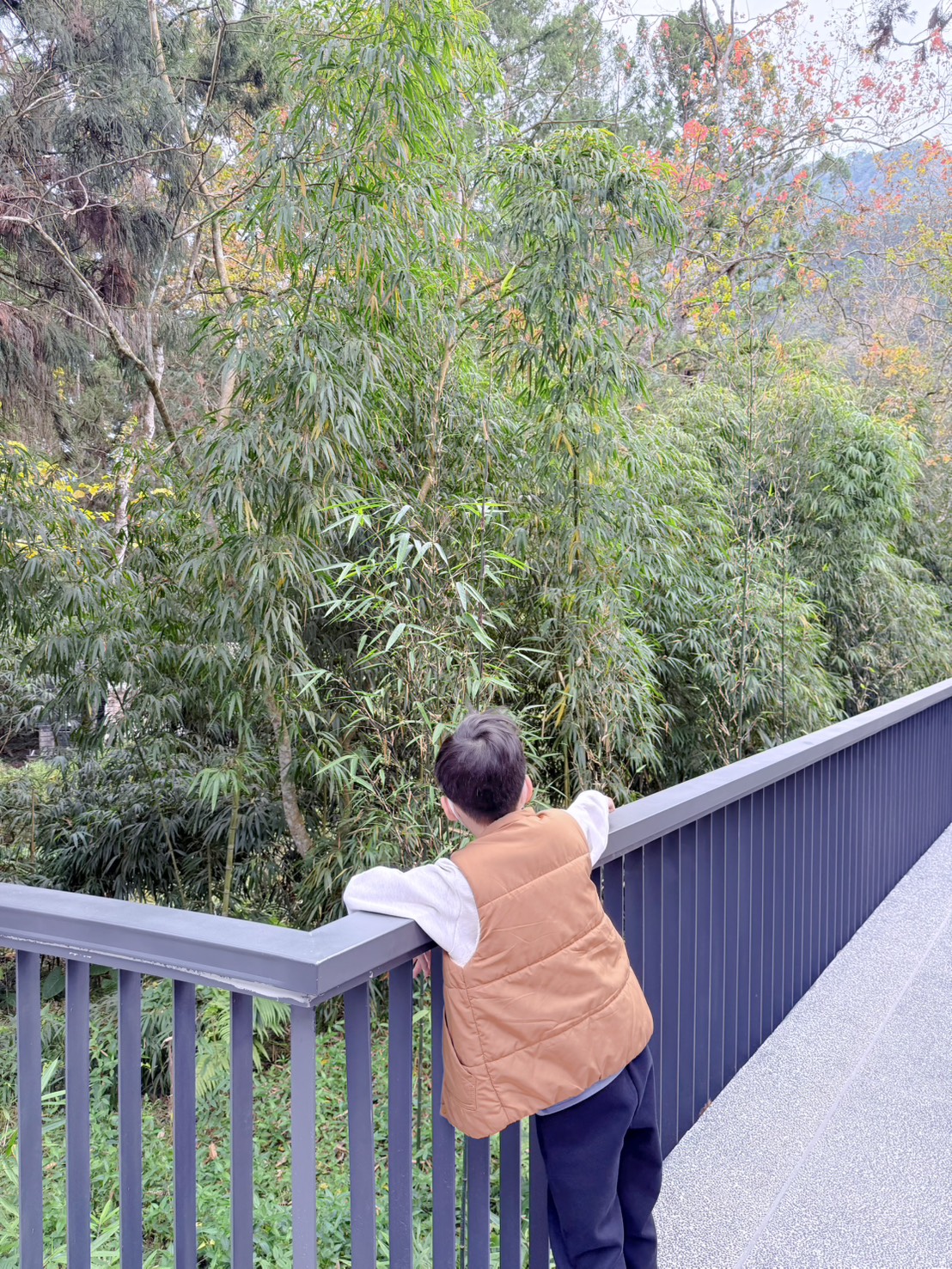南投鹿谷住宿推薦|入住溪頭自然教育園區!溪頭福華渡假飯店漢光樓豪華客房開箱 森林下午茶+夜間導覽一次滿足(2026)詳細分享 - 第44張圖 南投鹿谷住宿推薦|入住溪頭自然教育園區!溪頭福華渡假飯店漢光樓豪華客房開箱 森林下午茶+夜間導覽一次滿足(2026)詳細分享