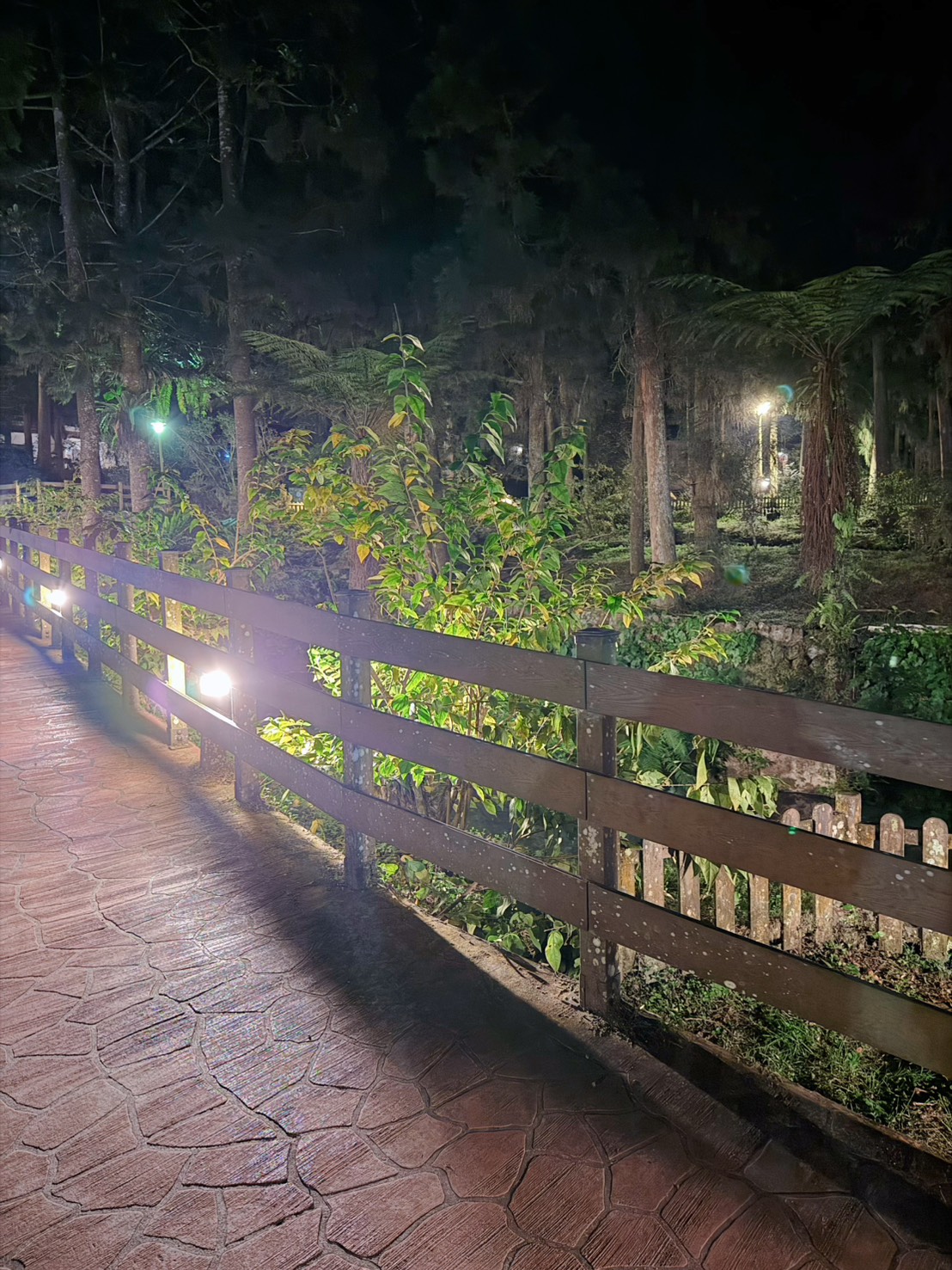 南投鹿谷住宿推薦|入住溪頭自然教育園區!溪頭福華渡假飯店漢光樓豪華客房開箱 森林下午茶+夜間導覽一次滿足(2026)詳細分享 - 第33張圖 南投鹿谷住宿推薦|入住溪頭自然教育園區!溪頭福華渡假飯店漢光樓豪華客房開箱 森林下午茶+夜間導覽一次滿足(2026)詳細分享