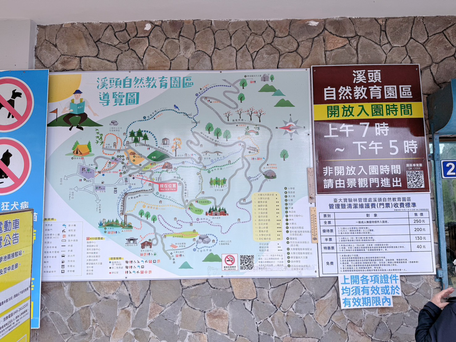 南投鹿谷|溪頭自然教育園區大學池步道 漫步森林吸收芬多精 親子必訪森林步道、竹橋美景一次收集 親子路線攻略分享 - 第4張圖 南投鹿谷|溪頭自然教育園區大學池步道 漫步森林吸收芬多精 親子必訪森林步道、竹橋美景一次收集 親子路線攻略分享