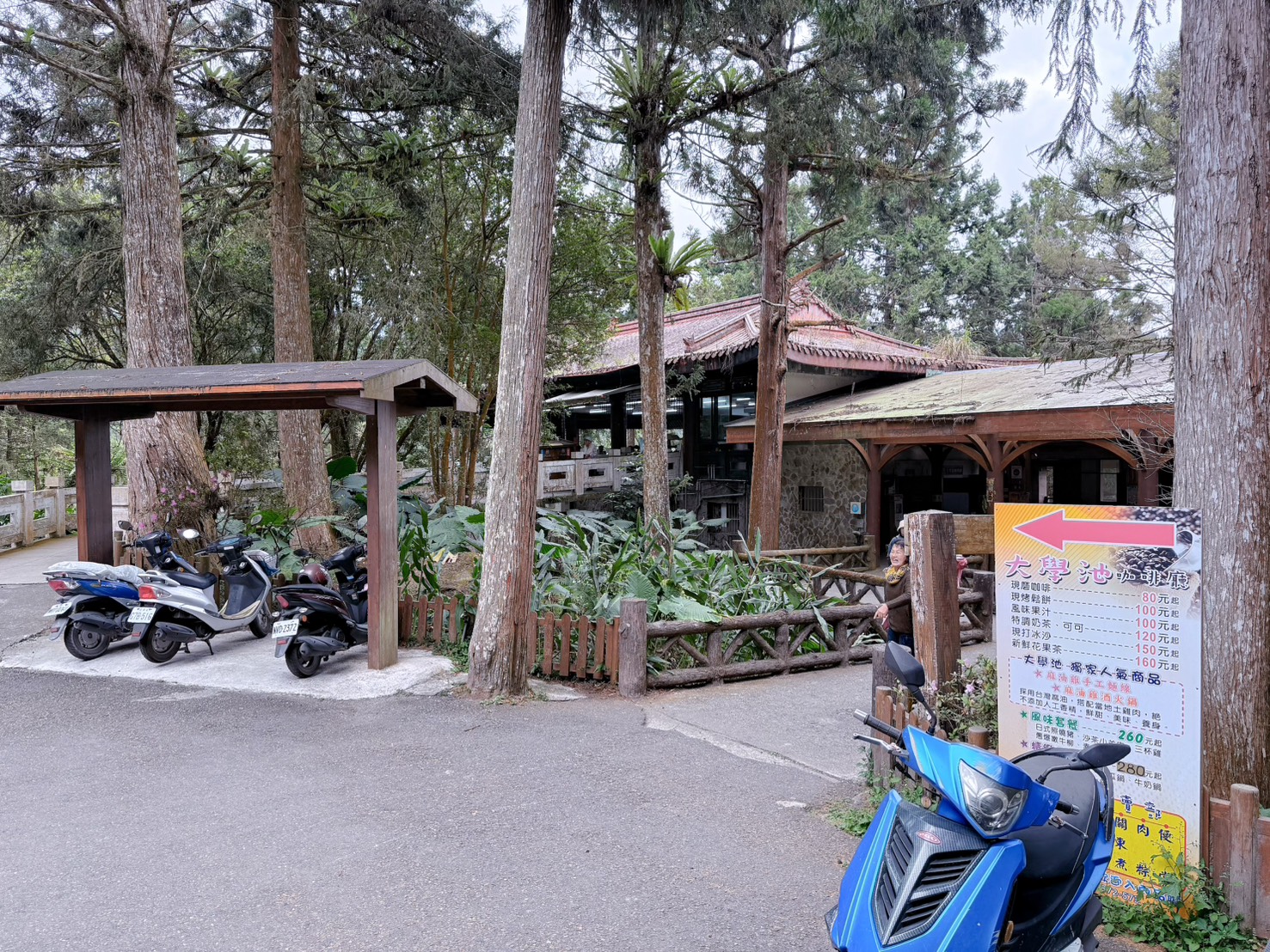 南投鹿谷｜溪頭自然教育園區大學池步道 漫步森林吸收芬多精 親子必訪森林步道、竹橋美景一次收集 親子路線攻略分享