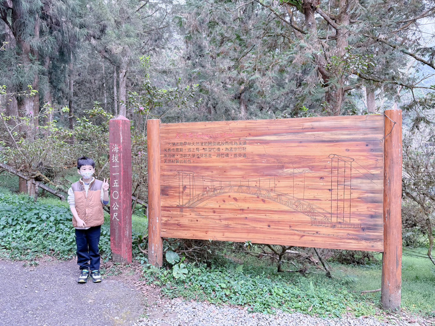 南投鹿谷｜溪頭自然教育園區大學池步道 漫步森林吸收芬多精 親子必訪森林步道、竹橋美景一次收集 親子路線攻略分享