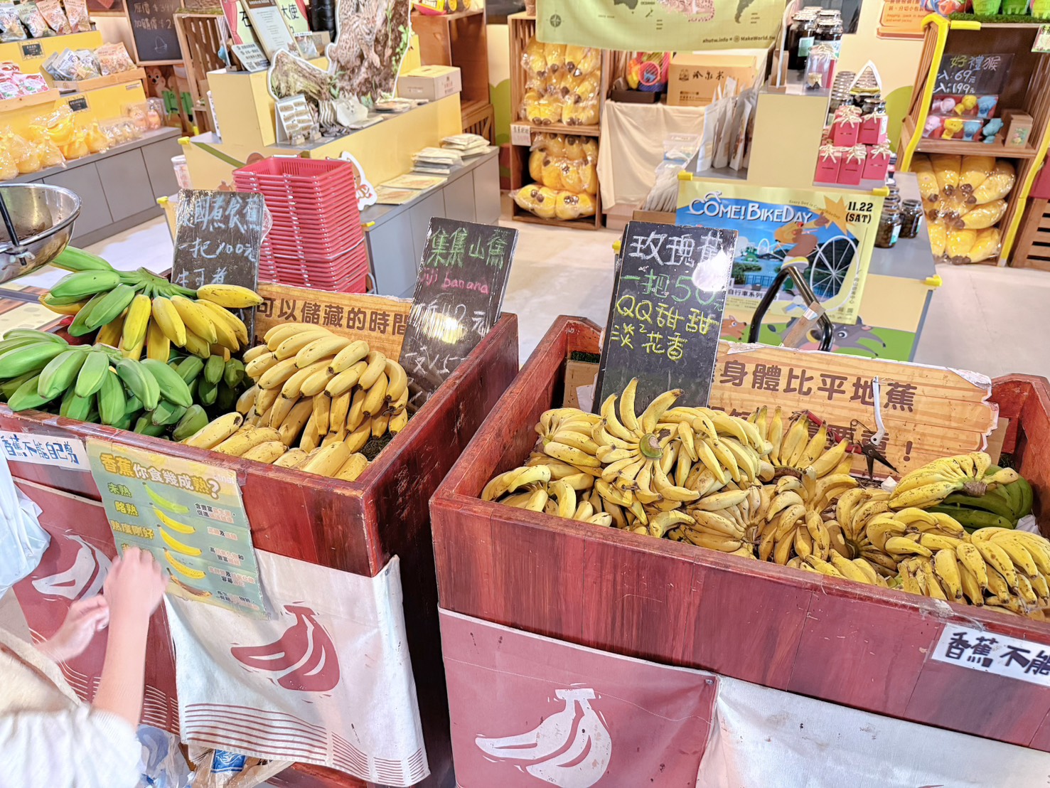南投 集集 免門票景點|集元果觀光工廠香蕉樂園 110種香蕉生態園、互動遊戲 親子一日遊推薦 - 第22張圖 南投 集集 免門票景點|集元果觀光工廠香蕉樂園 110種香蕉生態園、互動遊戲 親子一日遊推薦