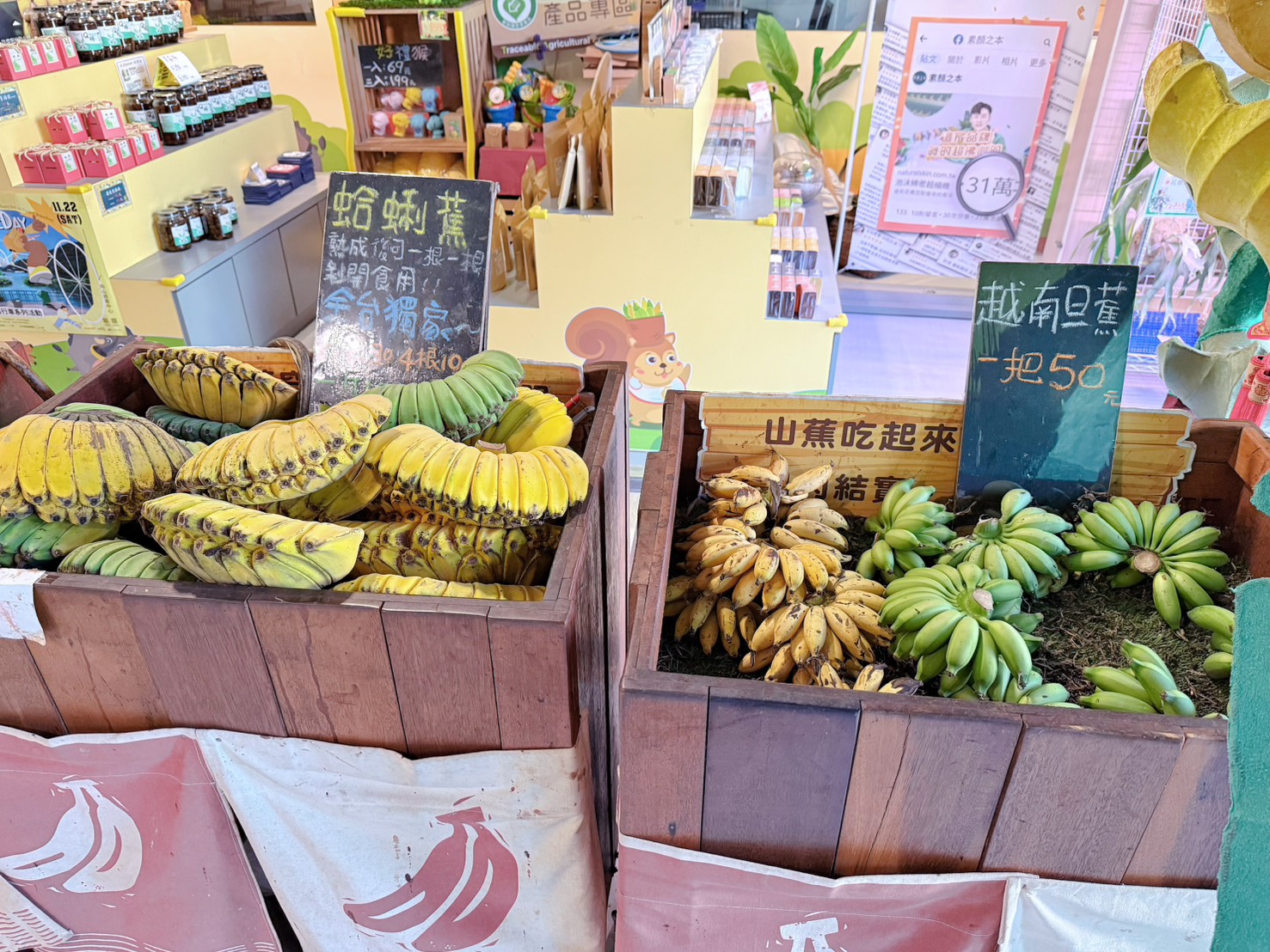 南投 集集 免門票景點｜集元果觀光工廠香蕉樂園 110種香蕉生態園、互動遊戲 親子一日遊推薦