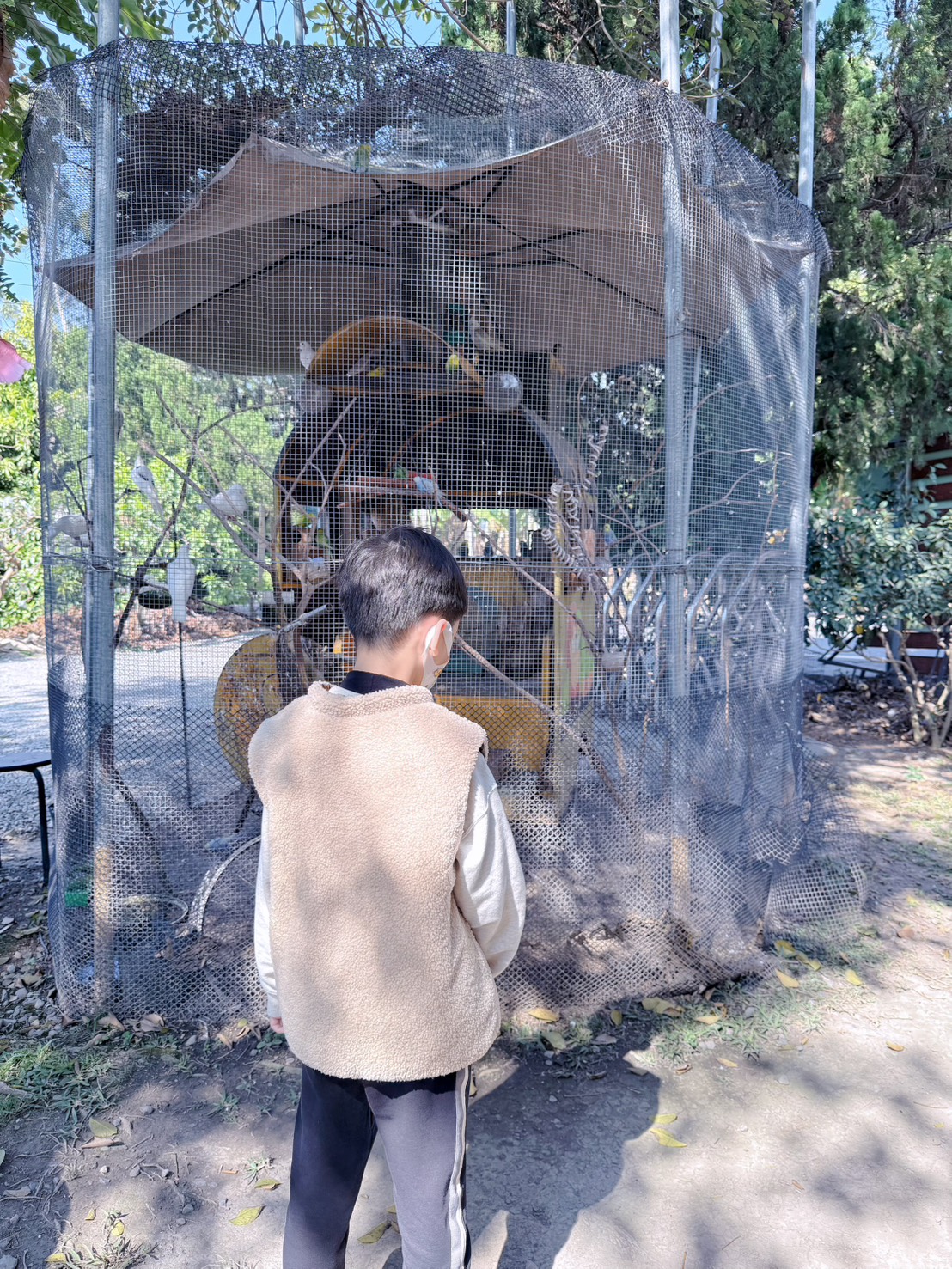 南投 集集 免門票景點|集元果觀光工廠香蕉樂園 110種香蕉生態園、互動遊戲 親子一日遊推薦 - 第26張圖 南投 集集 免門票景點|集元果觀光工廠香蕉樂園 110種香蕉生態園、互動遊戲 親子一日遊推薦