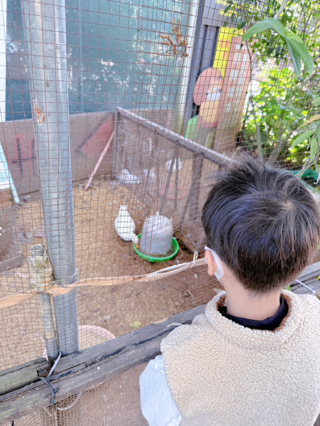 南投 集集 免門票景點｜集元果觀光工廠香蕉樂園 110種香蕉生態園、互動遊戲 親子一日遊推薦