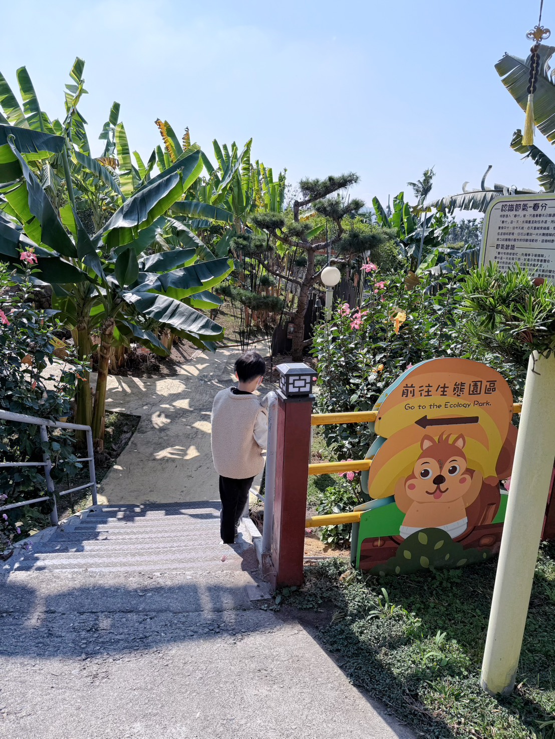 南投 集集 免門票景點｜集元果觀光工廠香蕉樂園 110種香蕉生態園、互動遊戲 親子一日遊推薦