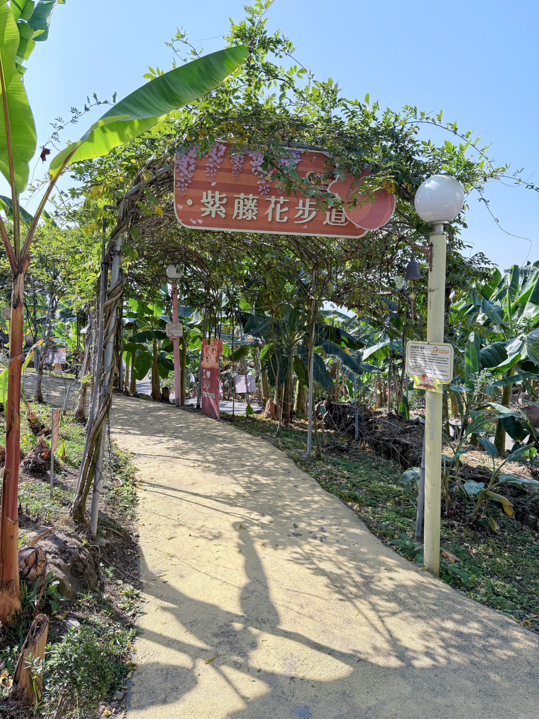 南投 集集 免門票景點|集元果觀光工廠香蕉樂園 110種香蕉生態園、互動遊戲 親子一日遊推薦 - 第34張圖 南投 集集 免門票景點|集元果觀光工廠香蕉樂園 110種香蕉生態園、互動遊戲 親子一日遊推薦