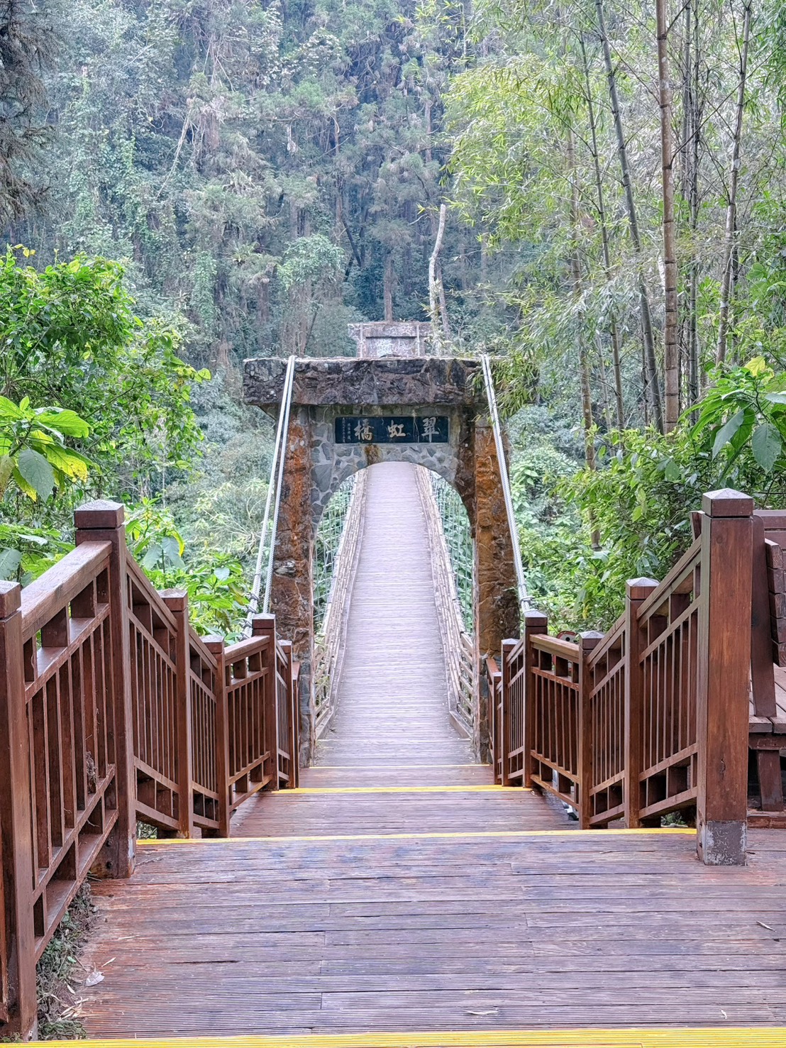 南投鹿谷|溪頭自然教育園區大學池步道 漫步森林吸收芬多精 親子必訪森林步道、竹橋美景一次收集 親子路線攻略分享 - 第7張圖 南投鹿谷|溪頭自然教育園區大學池步道 漫步森林吸收芬多精 親子必訪森林步道、竹橋美景一次收集 親子路線攻略分享