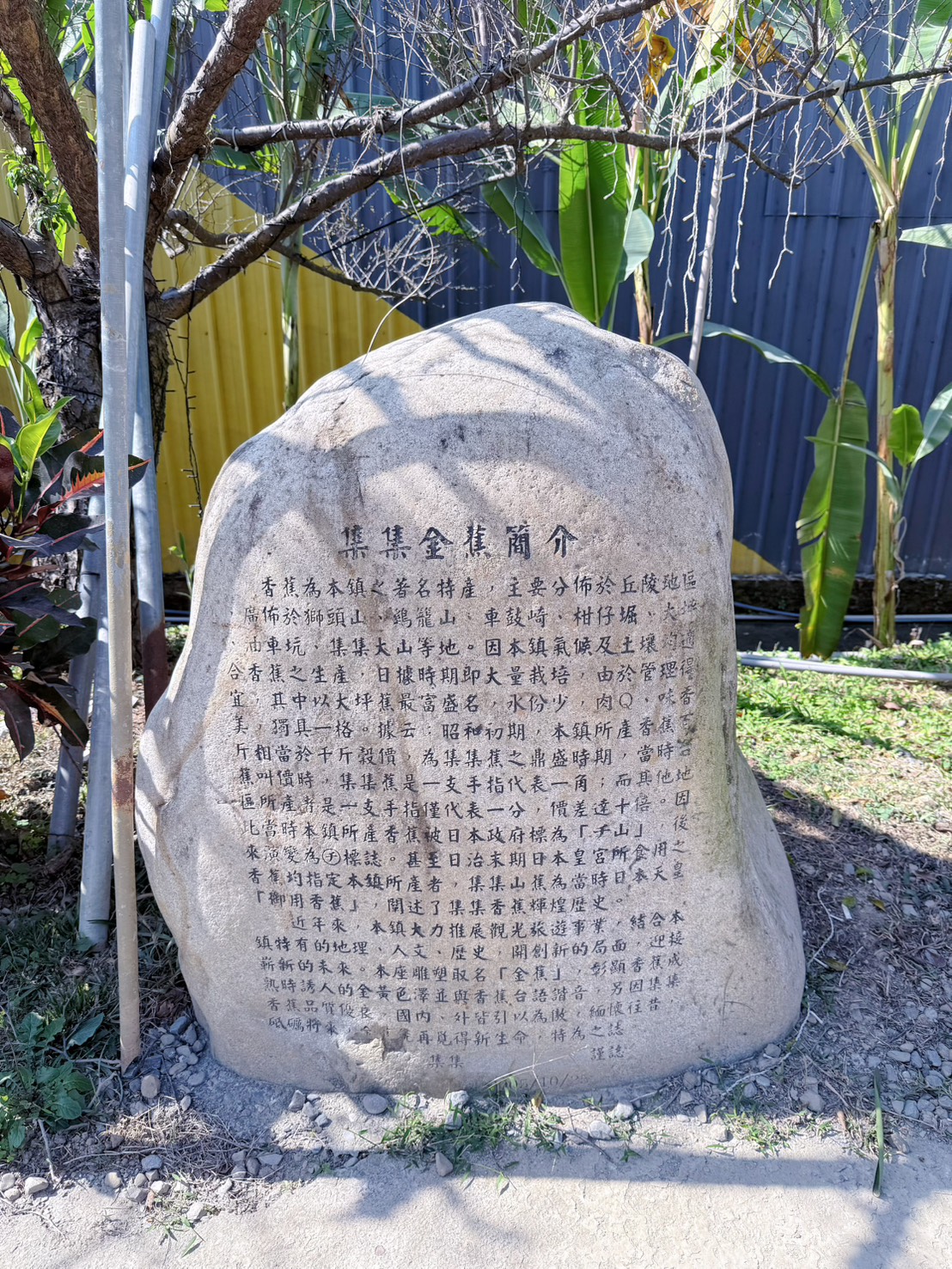 南投 集集 免門票景點|集元果觀光工廠香蕉樂園 110種香蕉生態園、互動遊戲 親子一日遊推薦 - 第7張圖 南投 集集 免門票景點|集元果觀光工廠香蕉樂園 110種香蕉生態園、互動遊戲 親子一日遊推薦